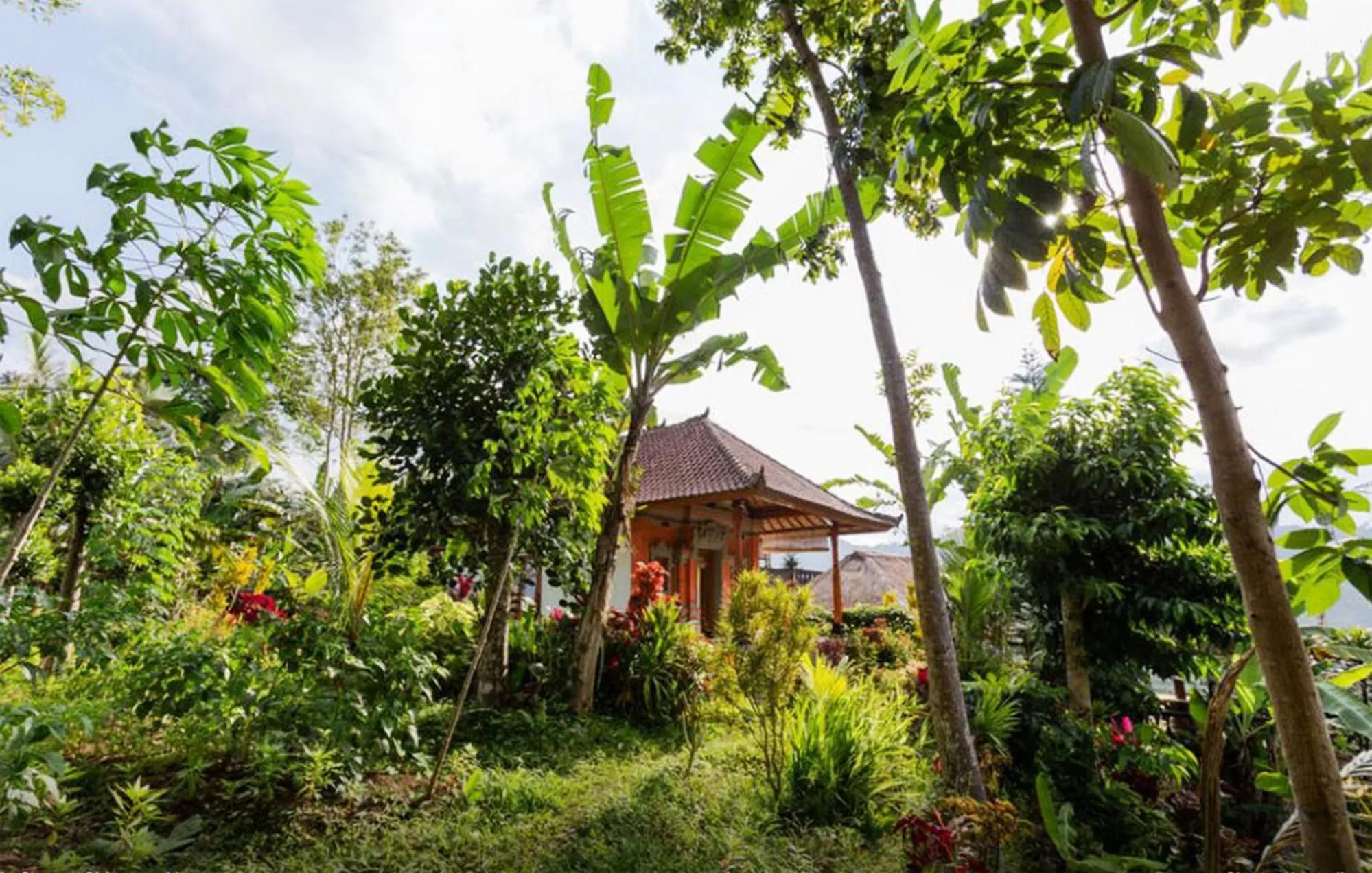Natural landscape in Lila Stana - Sidemen Homestay