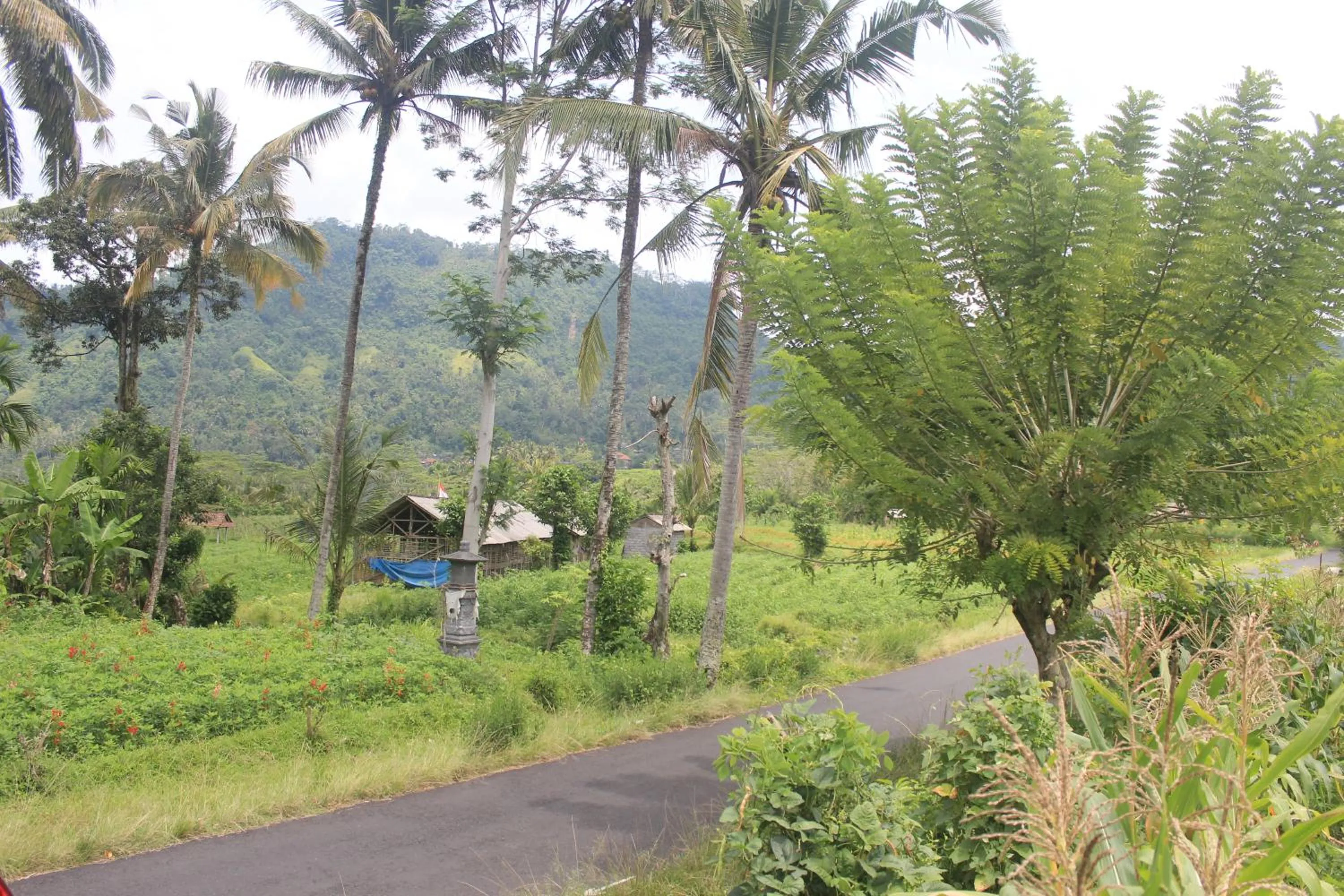 Natural landscape in Lila Stana - Sidemen Homestay