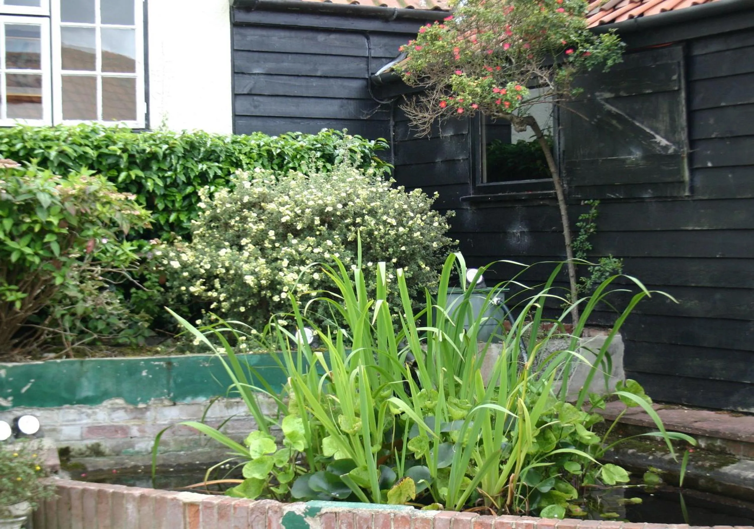 Garden in Farmhouse Inn