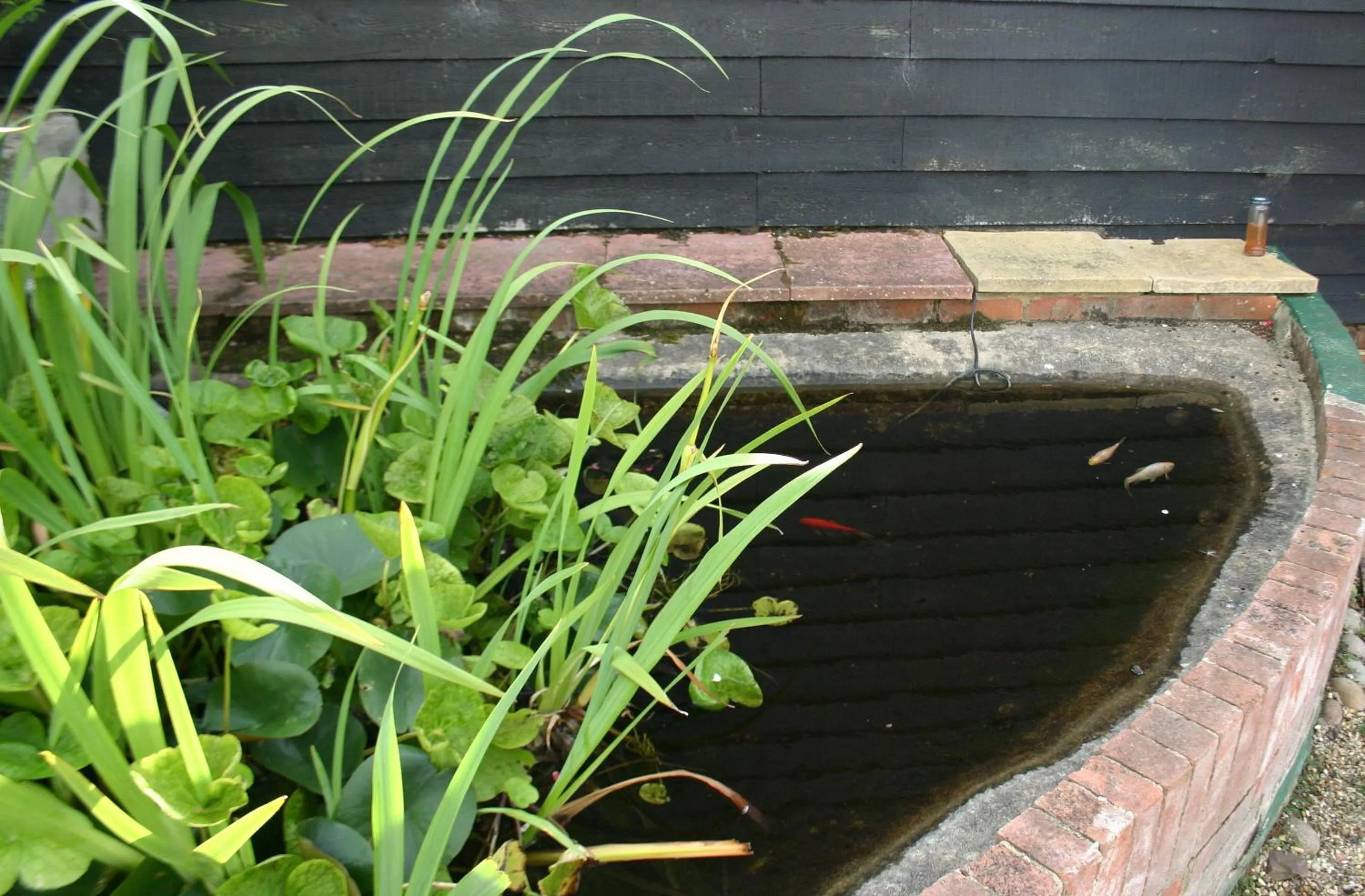 Garden in Farmhouse Inn