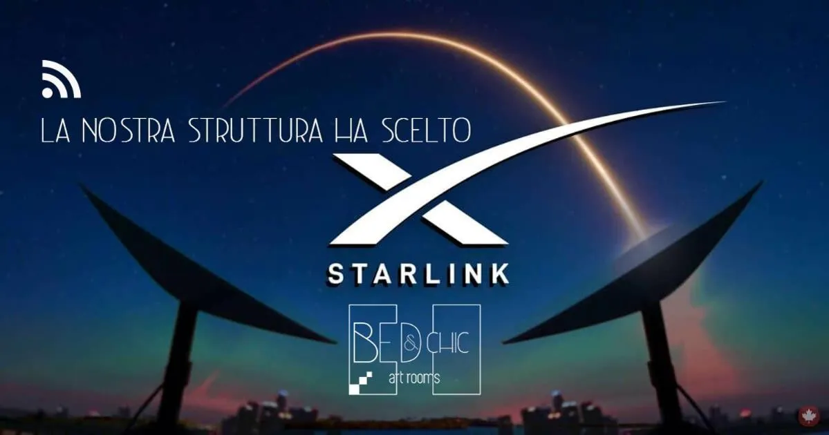 internet in Bed and Chic art rooms