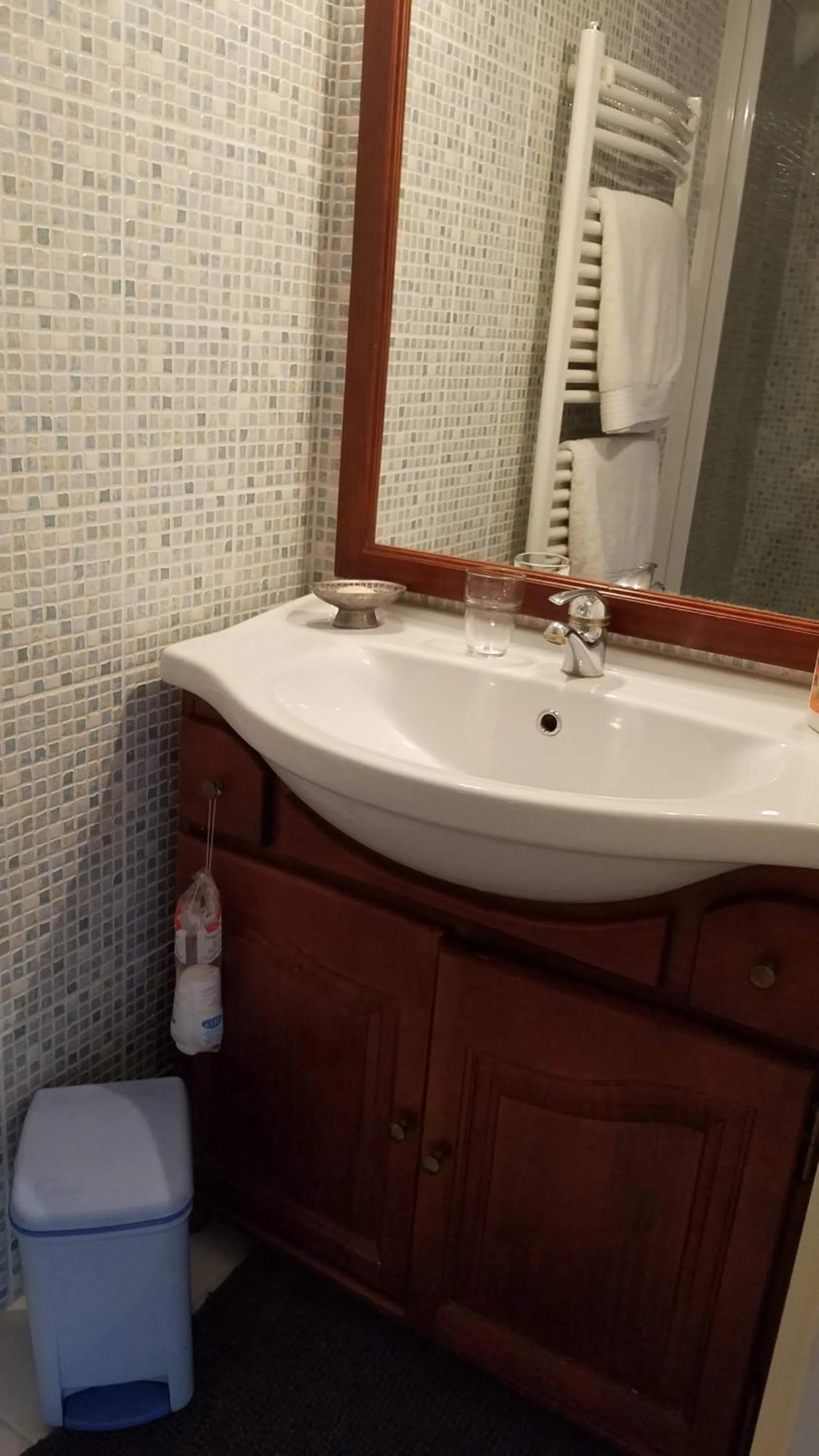 Shower in Chambre Avec Jardin Pierre Curie