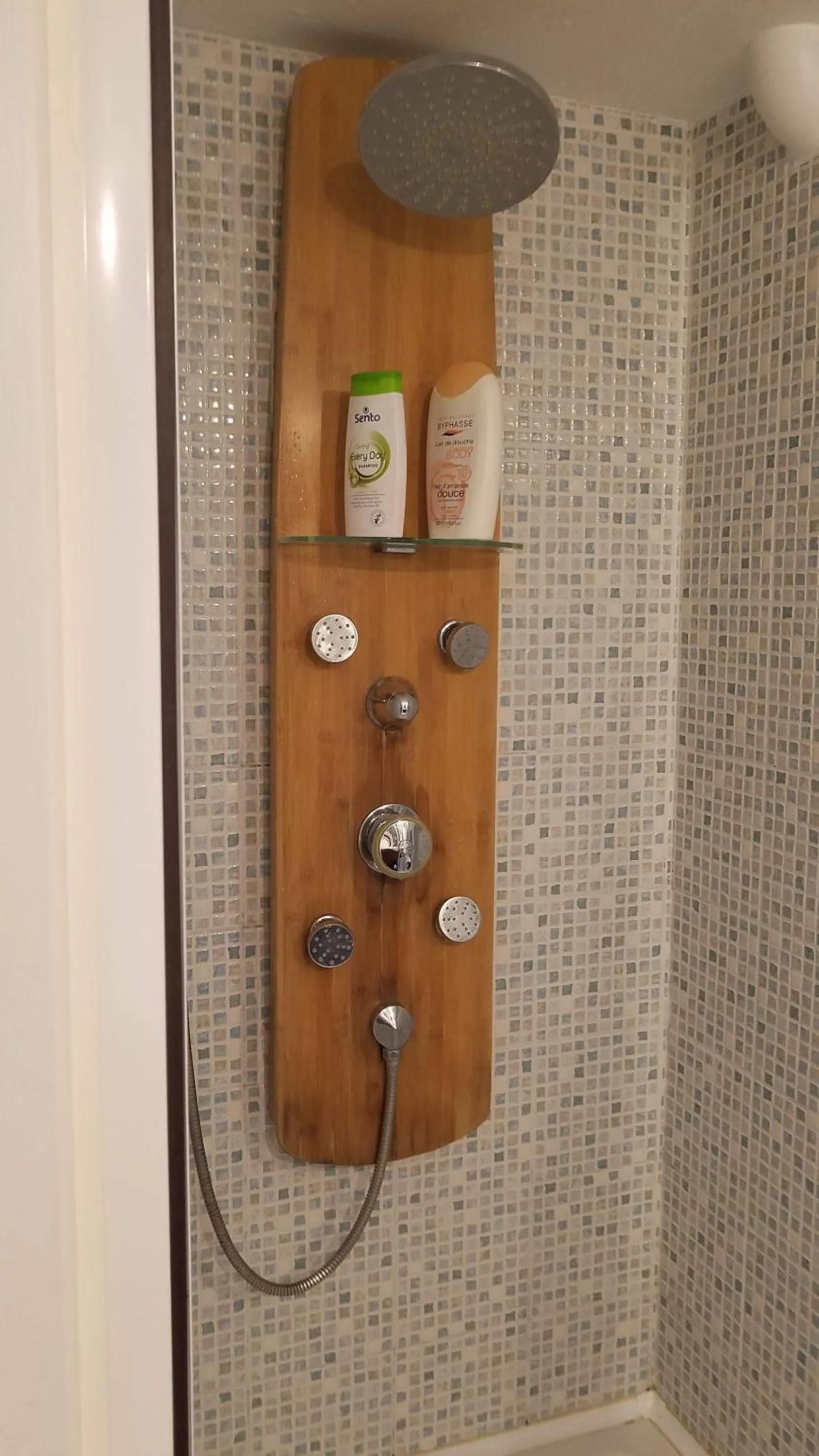 Shower in Chambre Avec Jardin Pierre Curie
