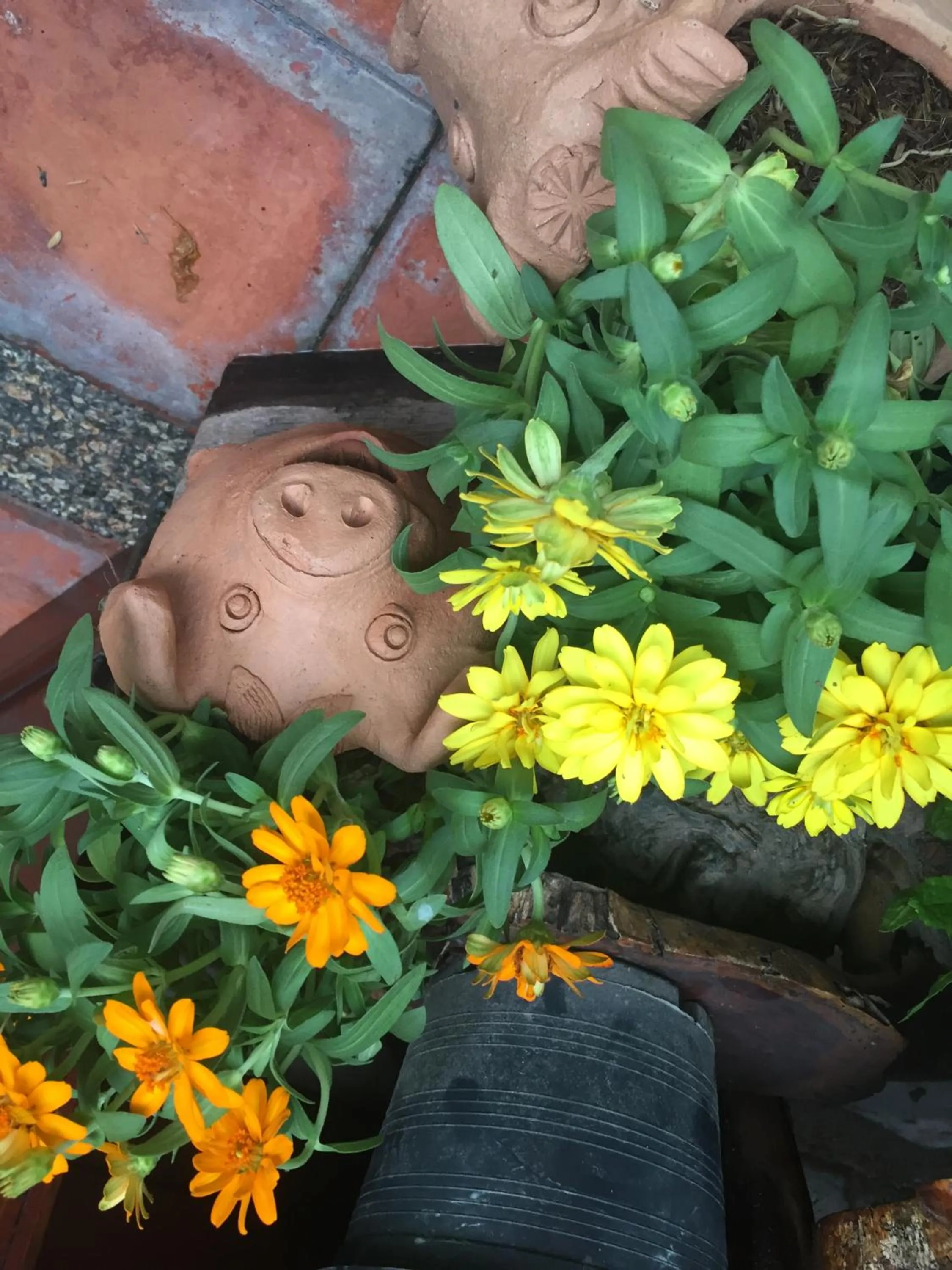 Decorative detail in Shanti Lodge