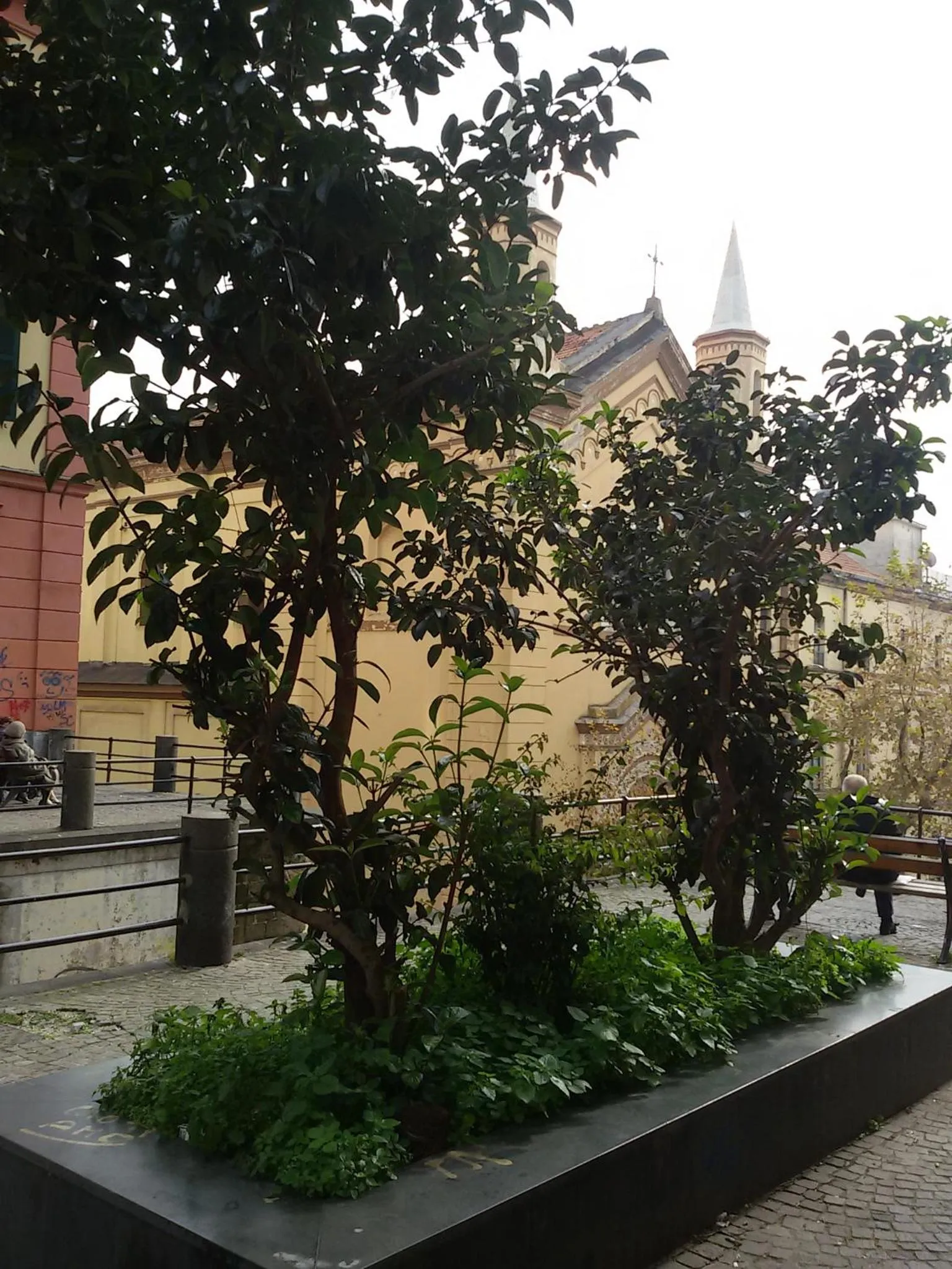 City view in At Home Lettieri