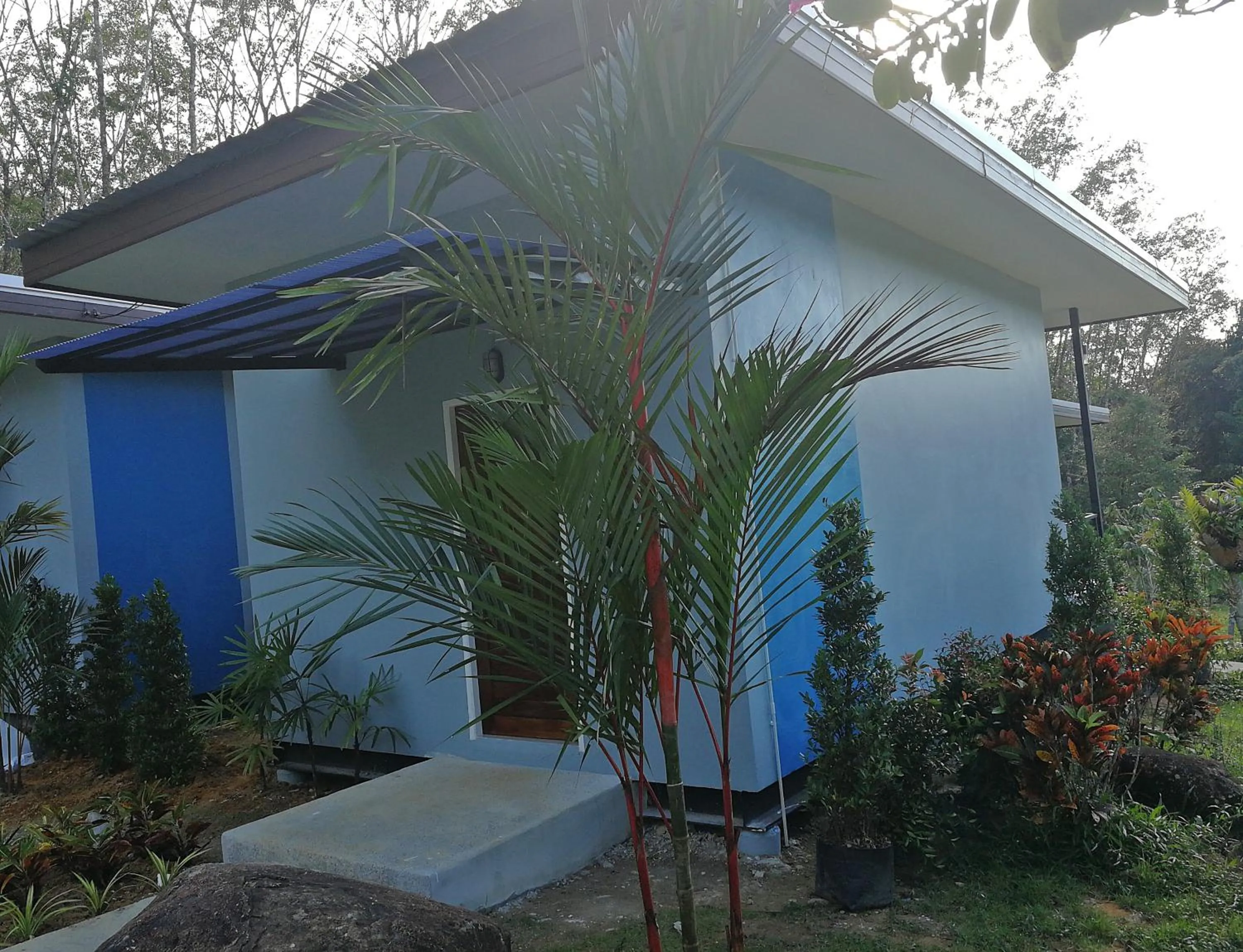 Photo of the whole room in Chomphu Resort