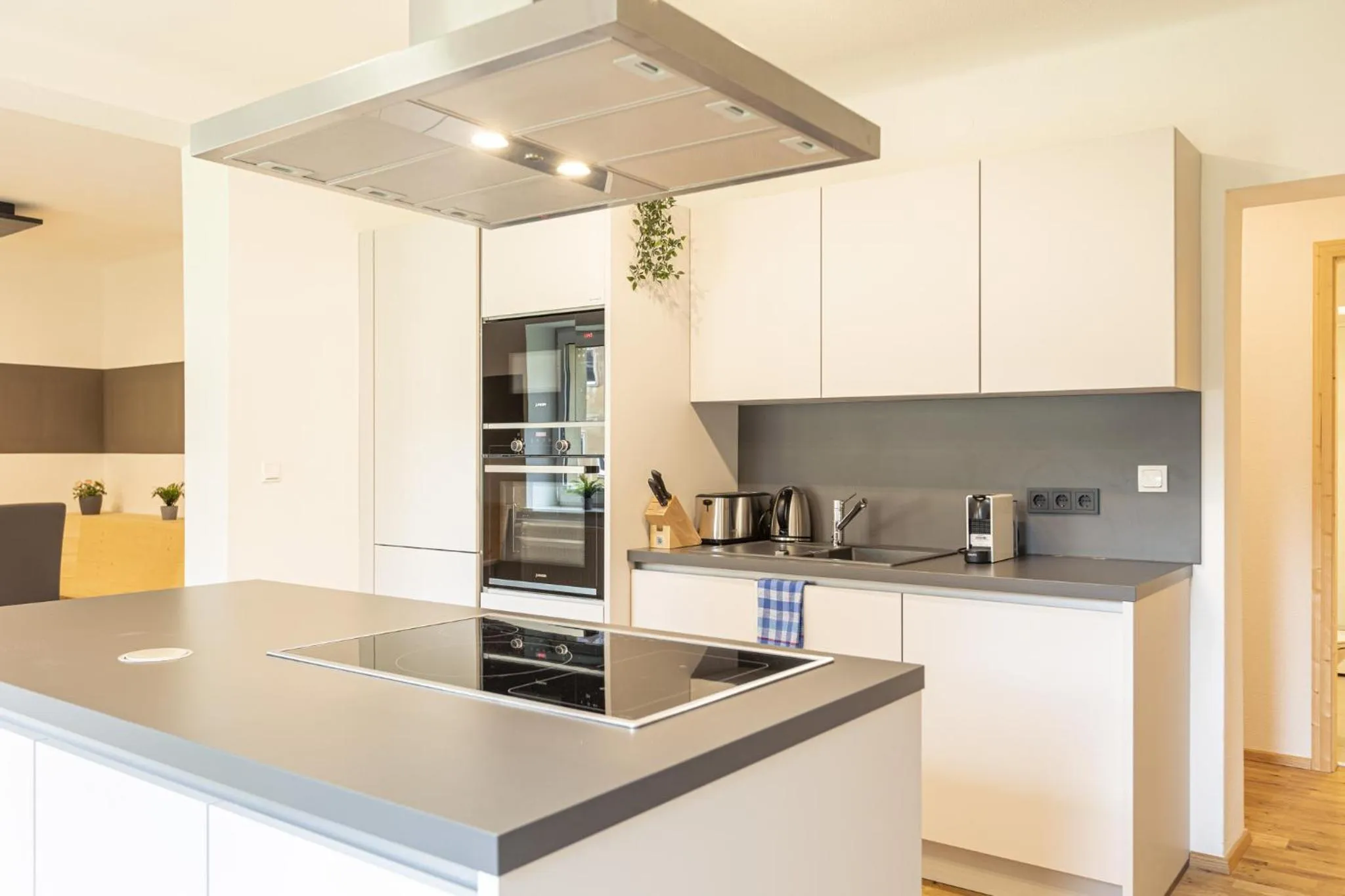 Kitchen or kitchenette in Erzberg Alpin Resort by ALPS RESORTS