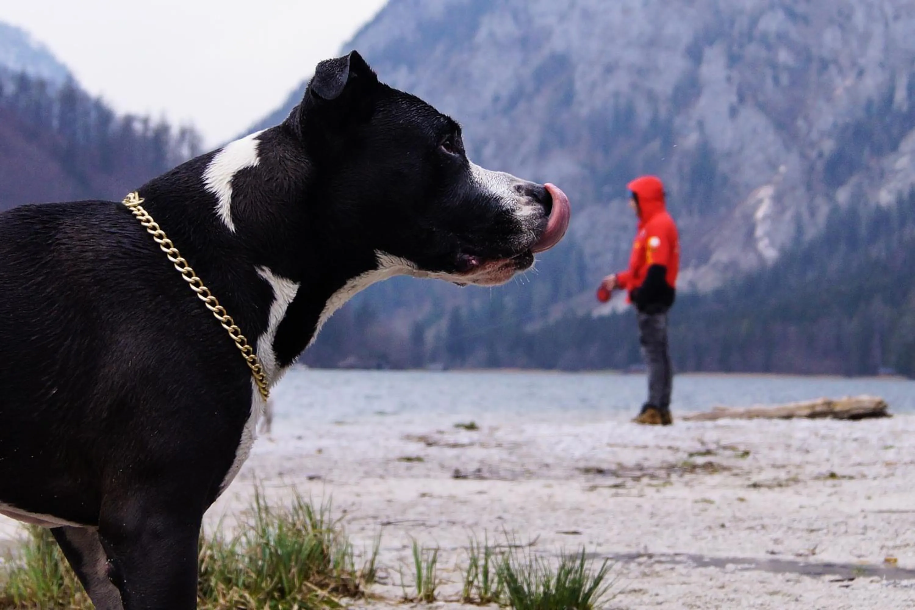 Area and facilities in Erzberg Alpin Resort by ALPS RESORTS