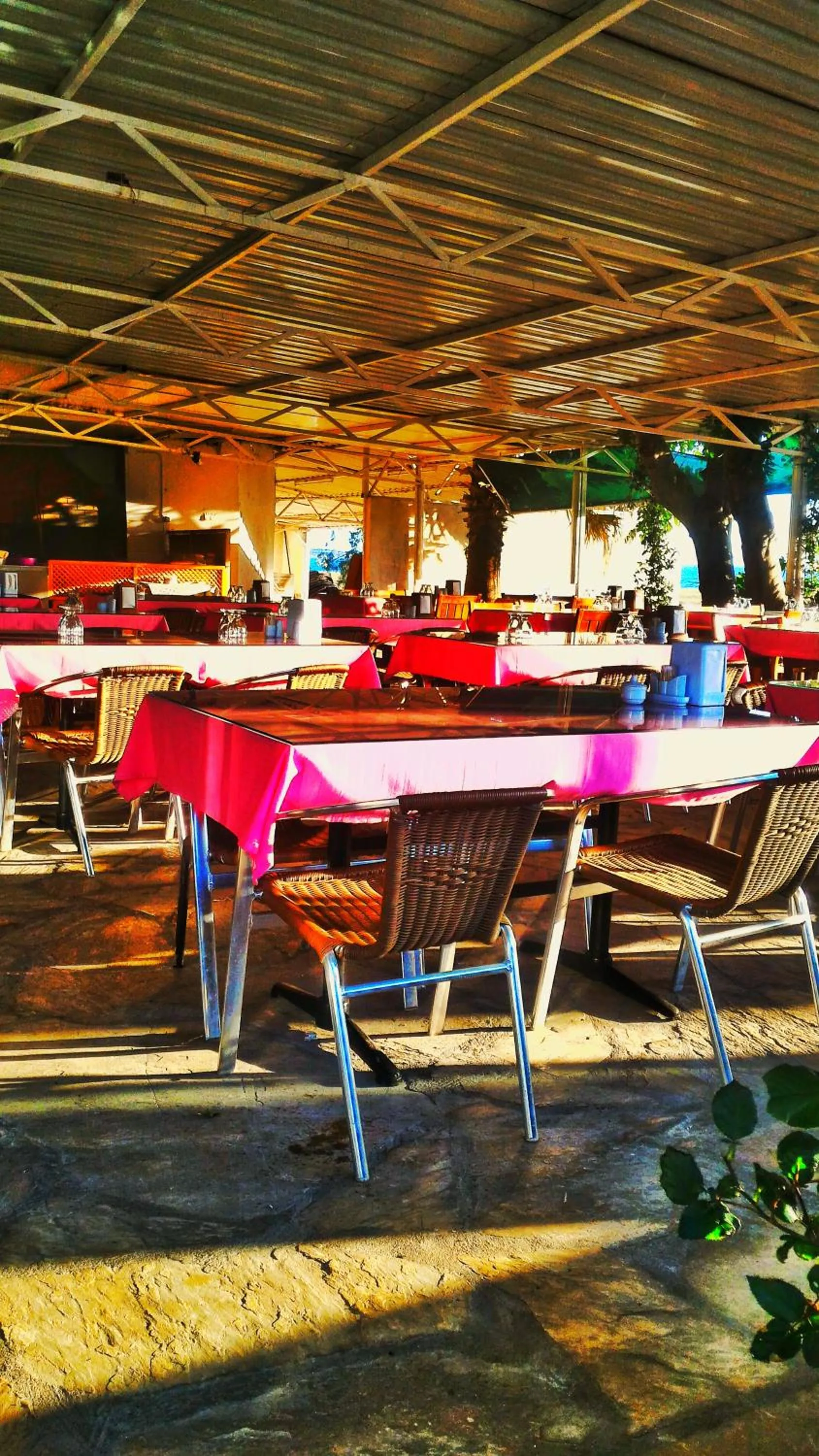 Restaurant/places to eat in Odunluk Tas Konak Hotel