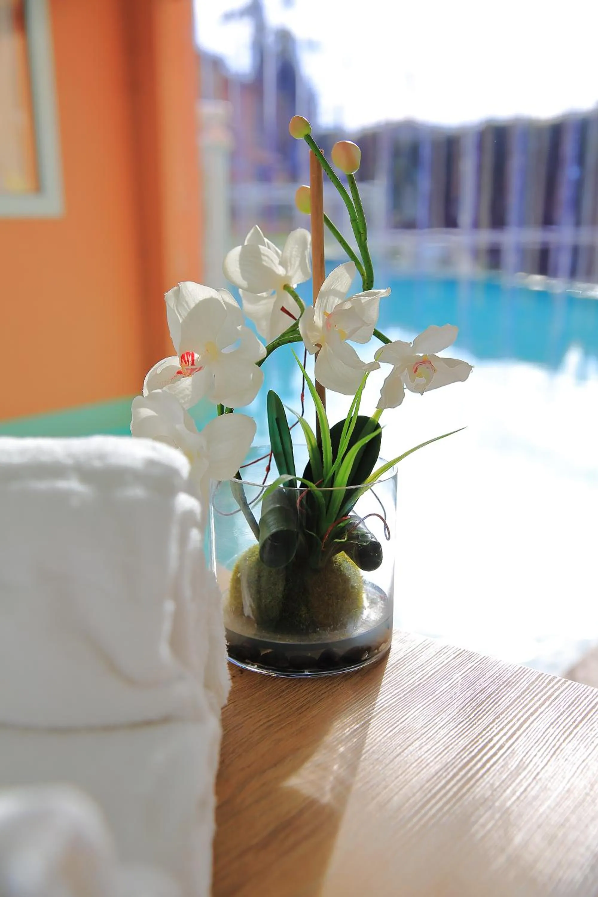 Swimming pool in Adonis Mougins