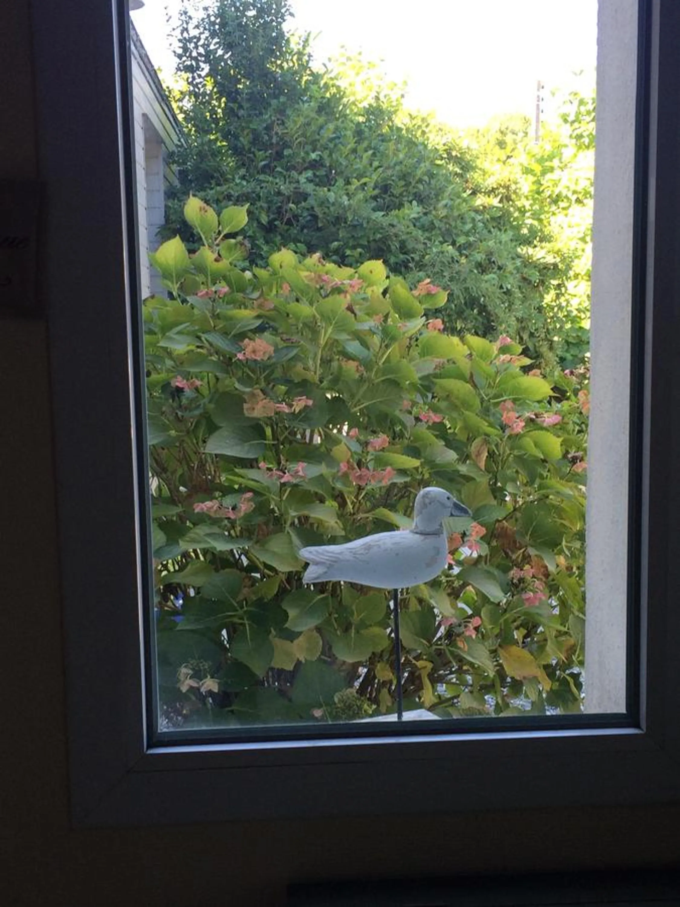 Facade/entrance in Gîte La Terrasse Du Verger