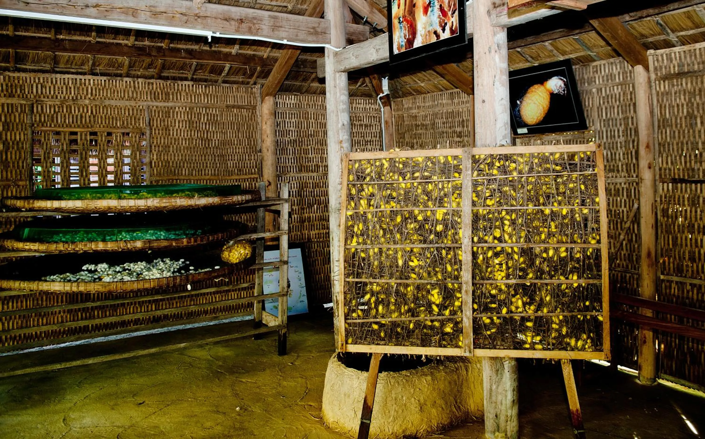 Natural landscape in Mulberry Collection Silk Village