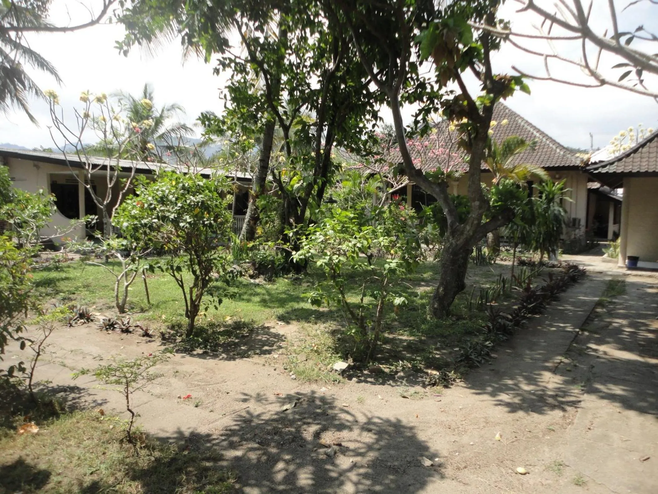 Garden in Pakuna Beach