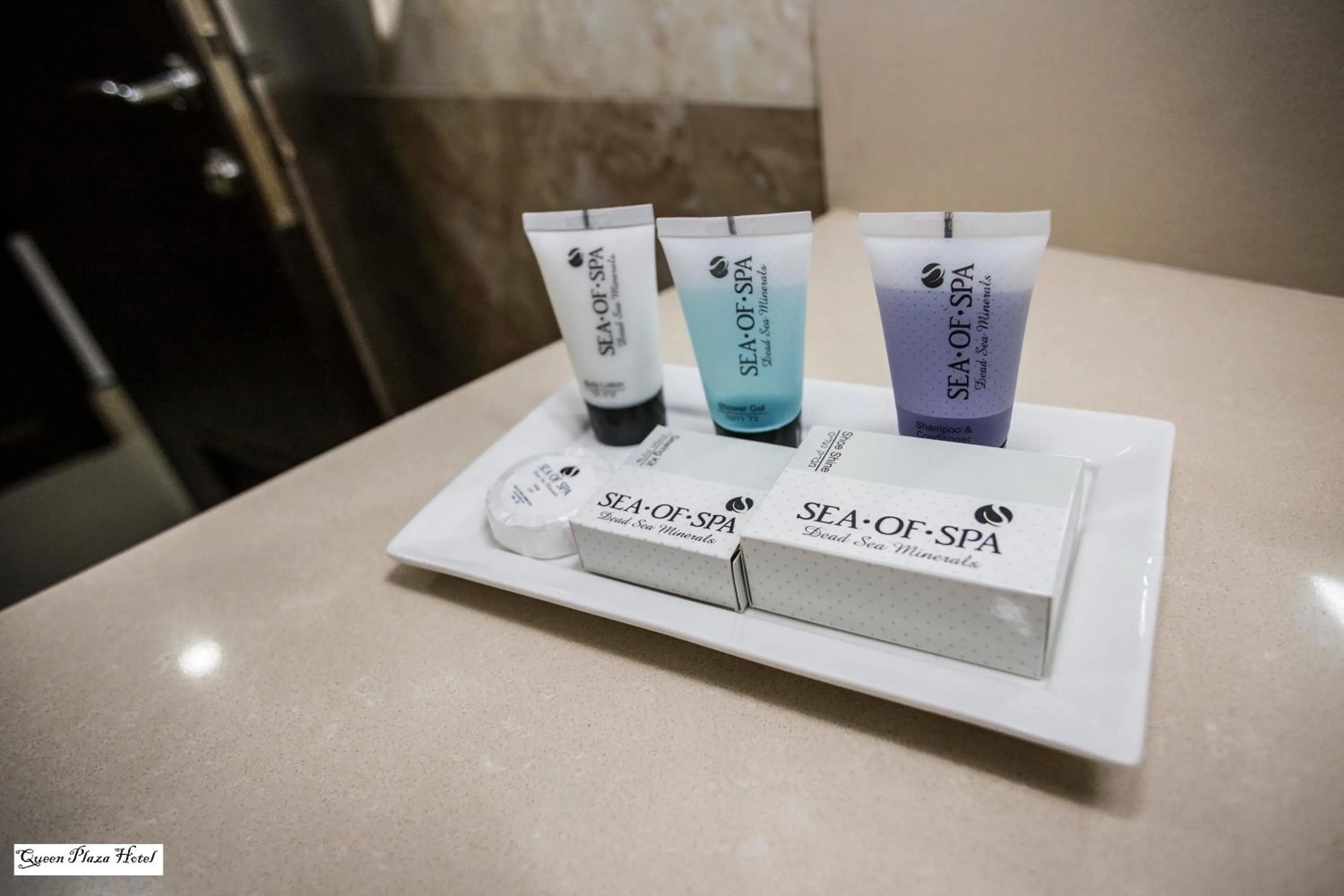 Area and facilities in Queen Plaza Hotel