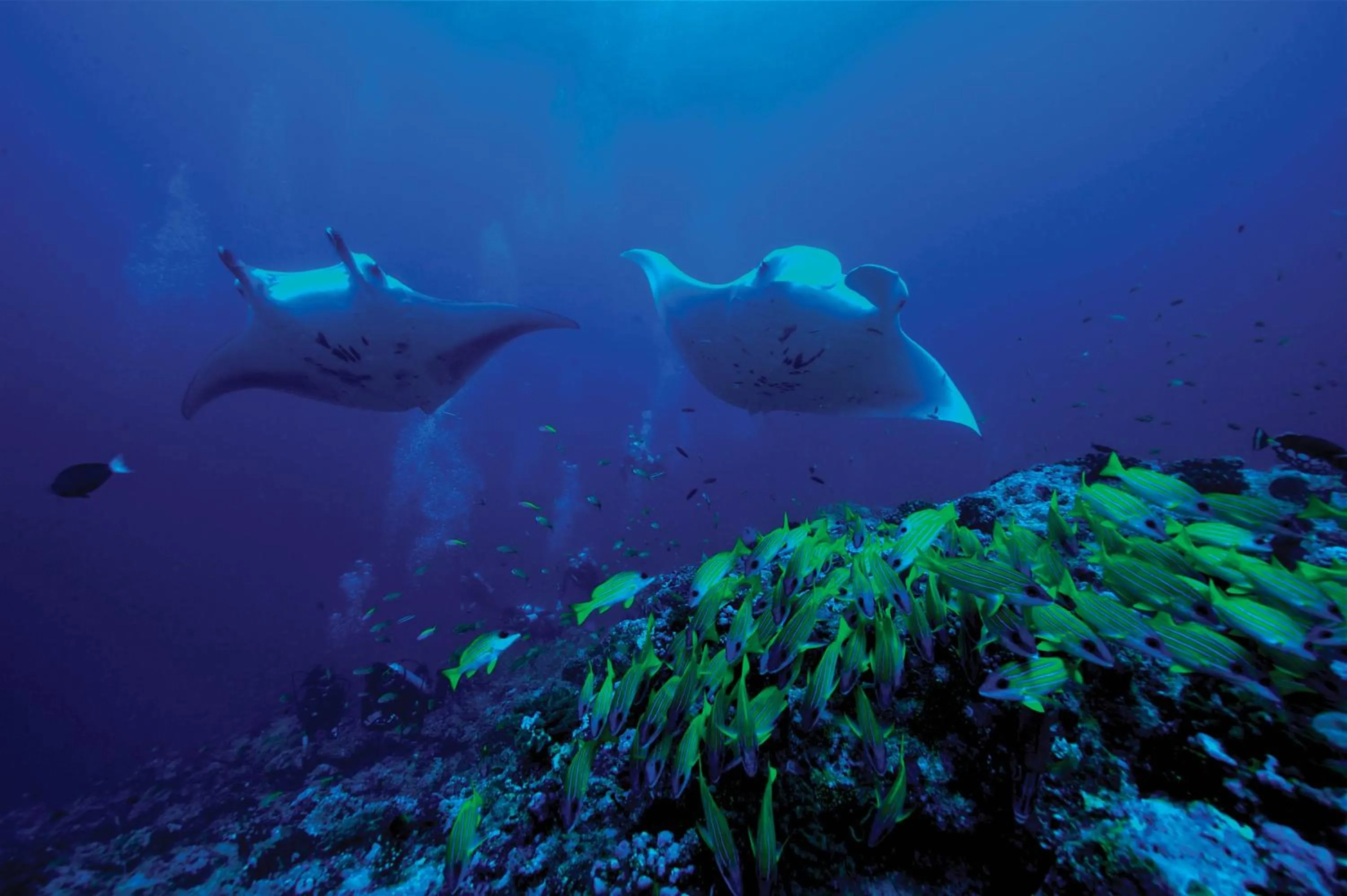 Activities in OBLU NATURE Helengeli-All-Inclusive with free Transfers