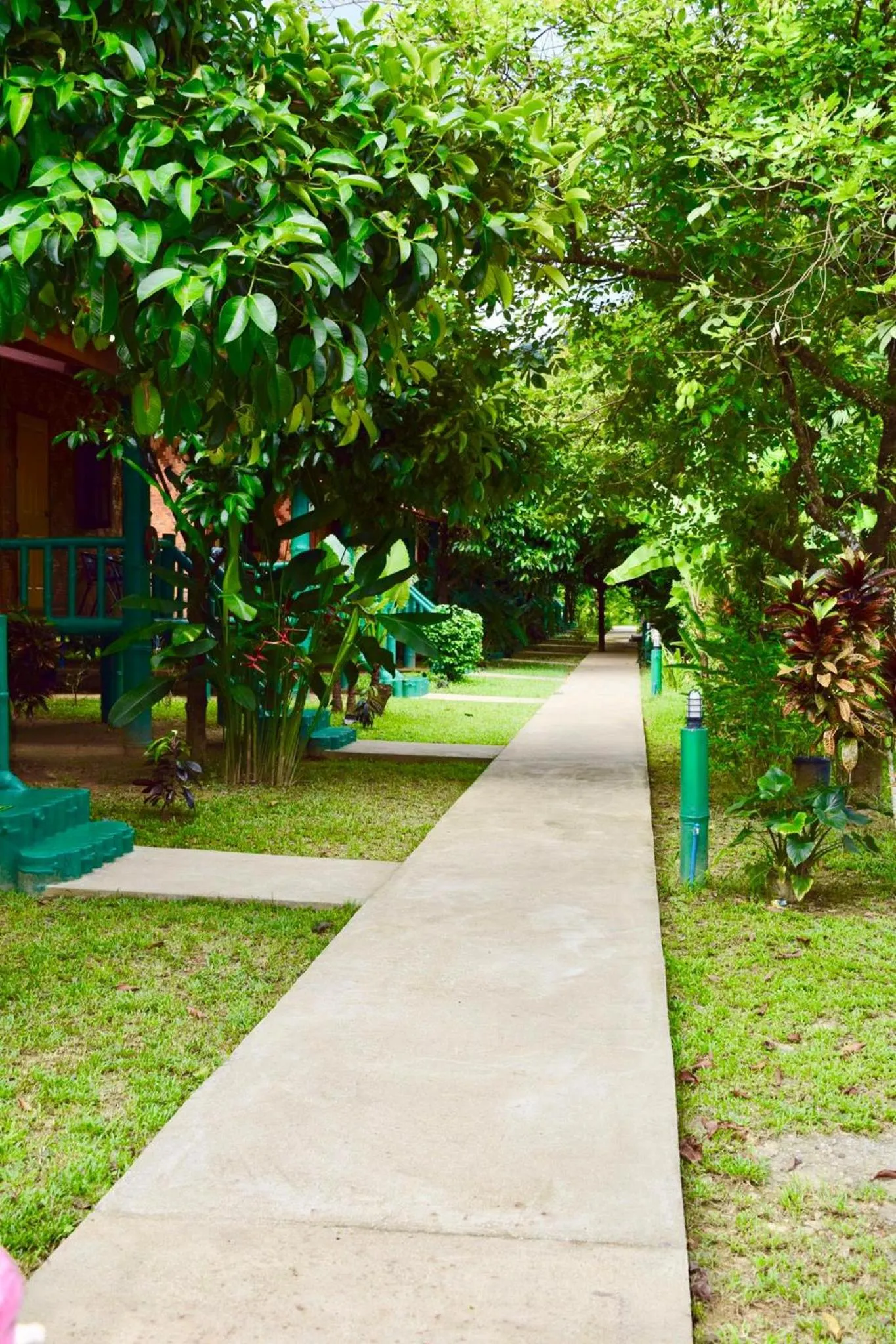 Garden in Khao Sok Royal Bamboo Lodges - SHA Certified