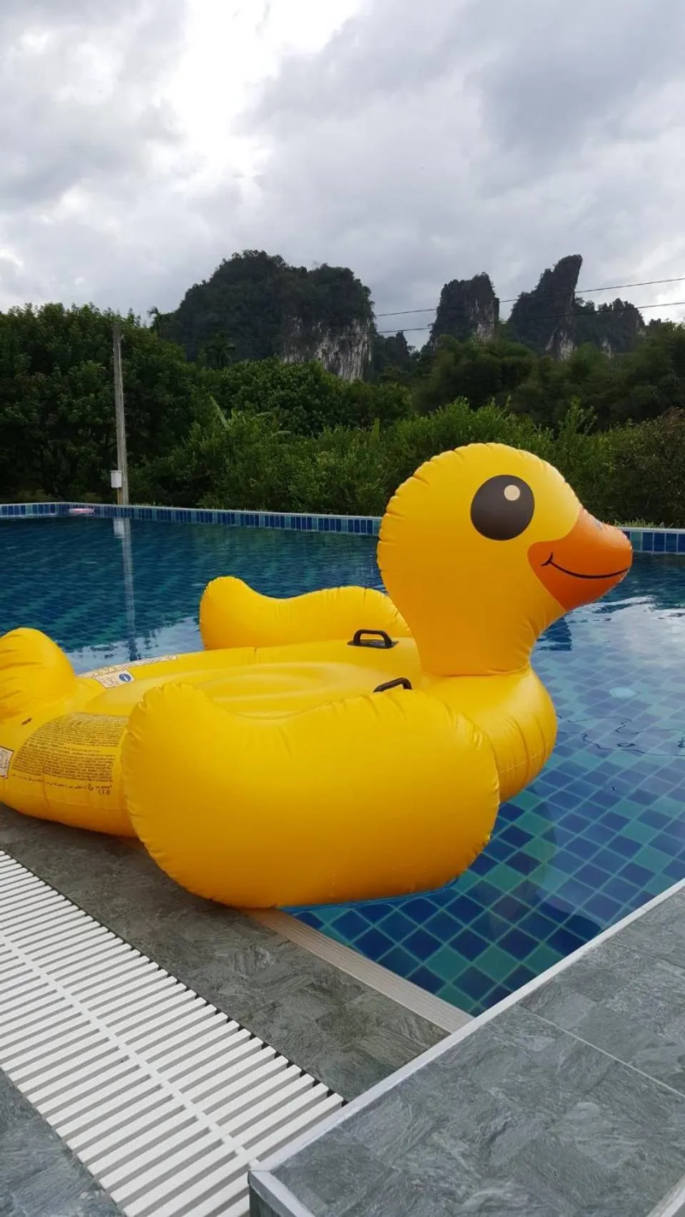 Swimming pool in Khao Sok Royal Bamboo Lodges - SHA Certified