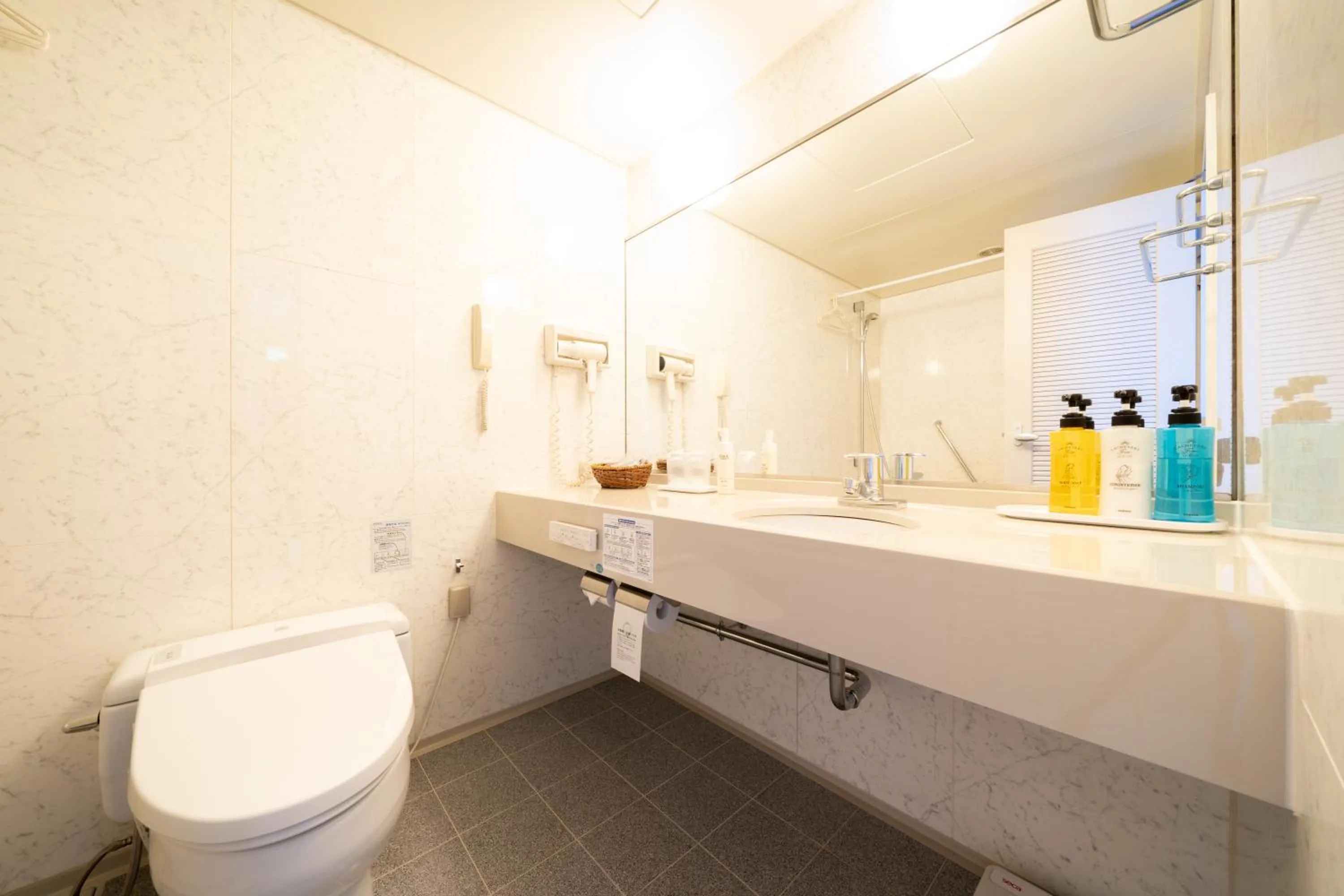 Toilet in Hotel Terrace The Square Hitachi