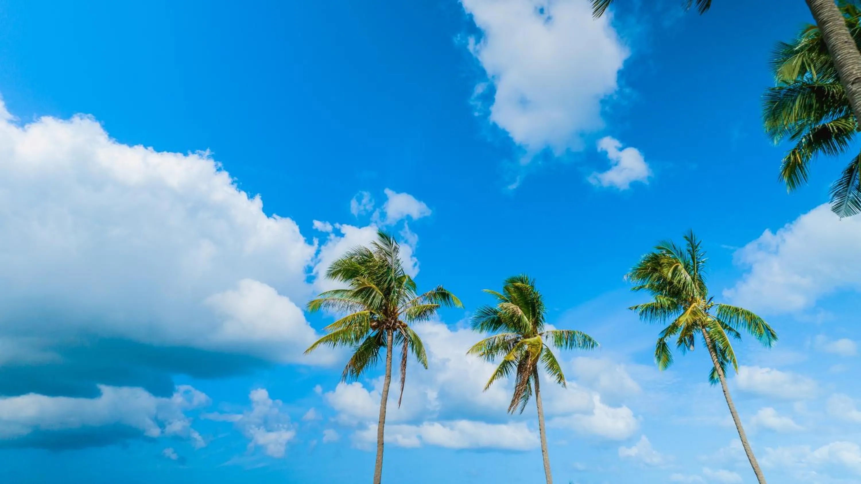 Natural landscape in Club Agutaya