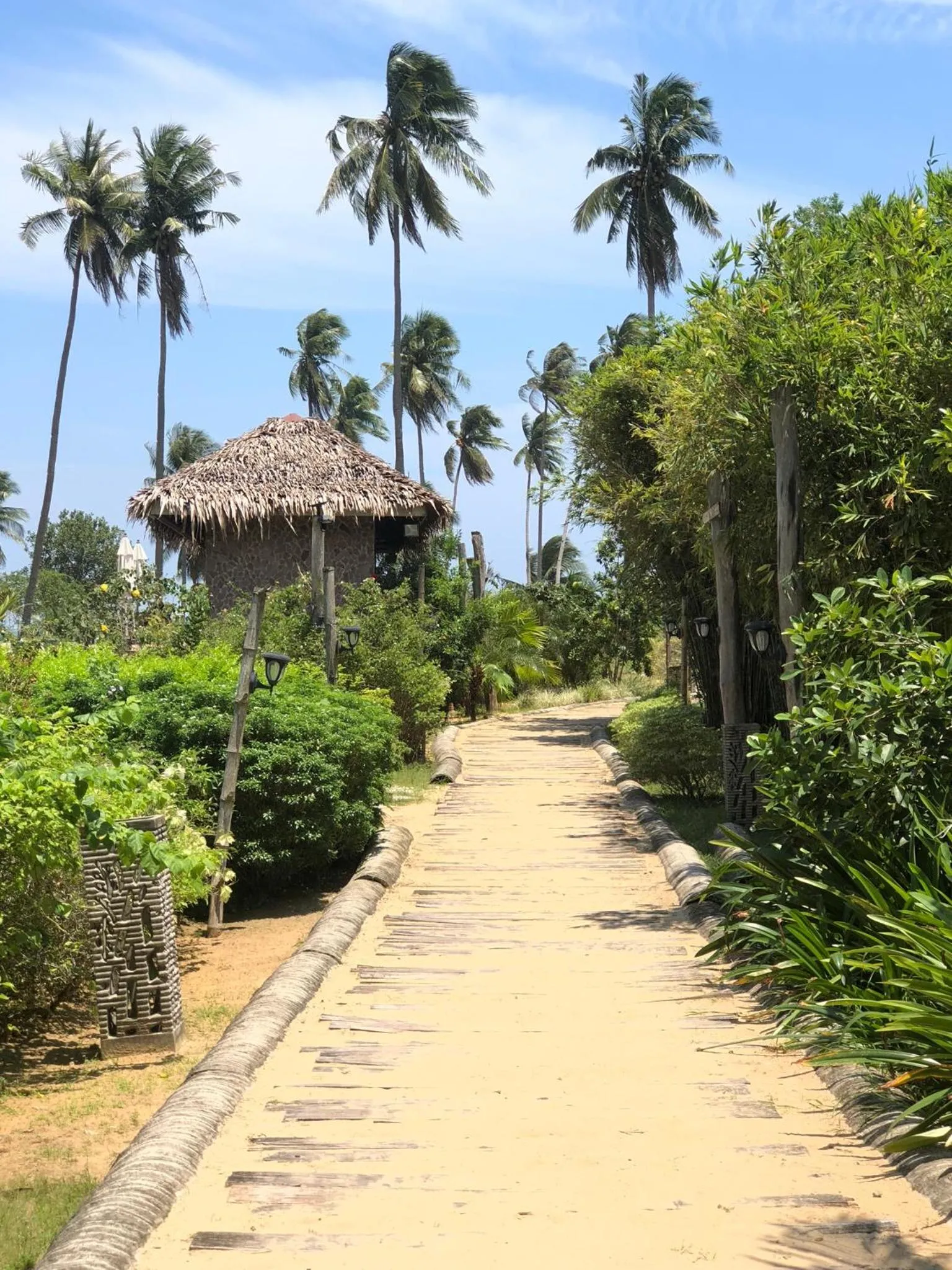 Natural landscape in Club Agutaya