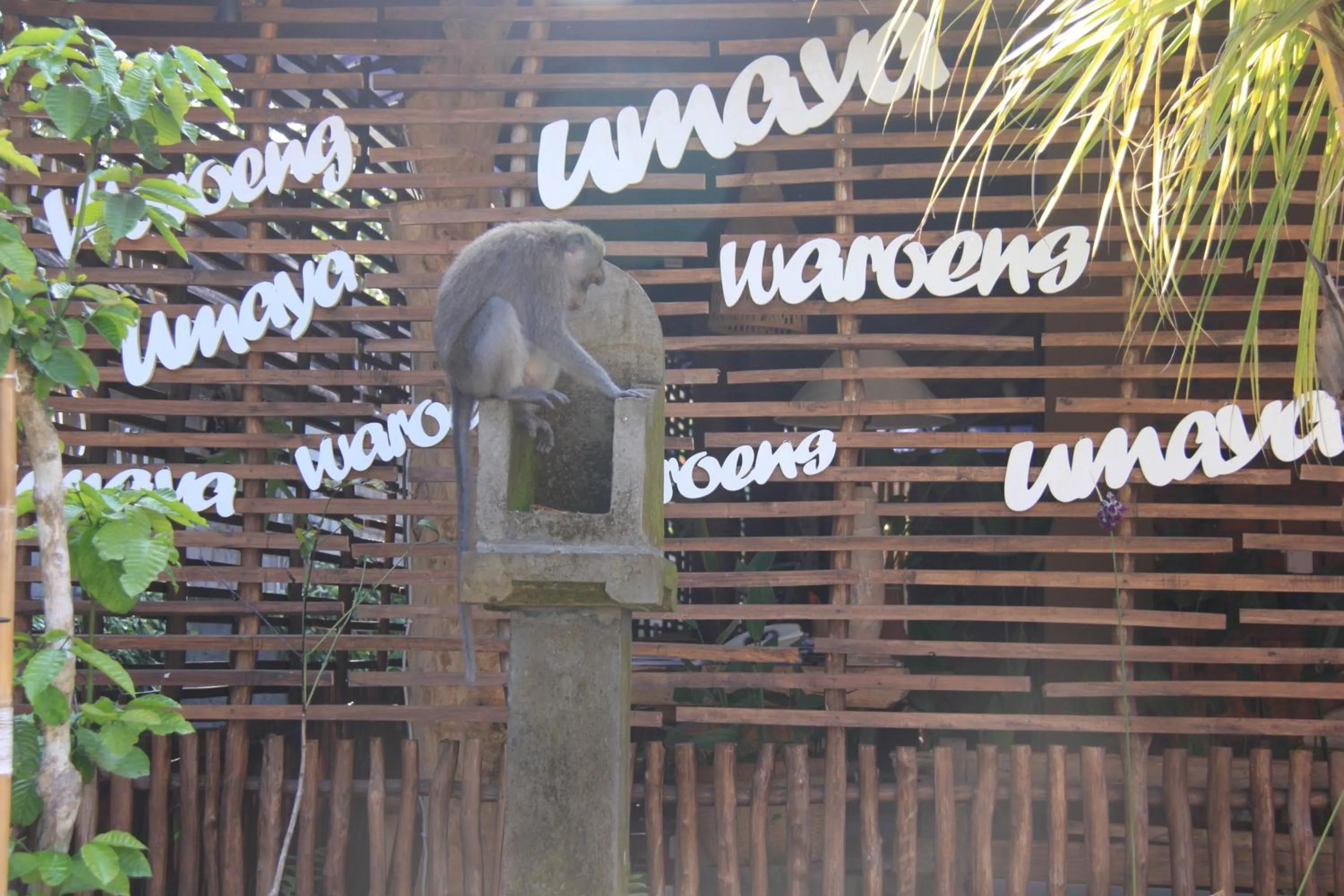 Animals in Umaya Ubud Villa