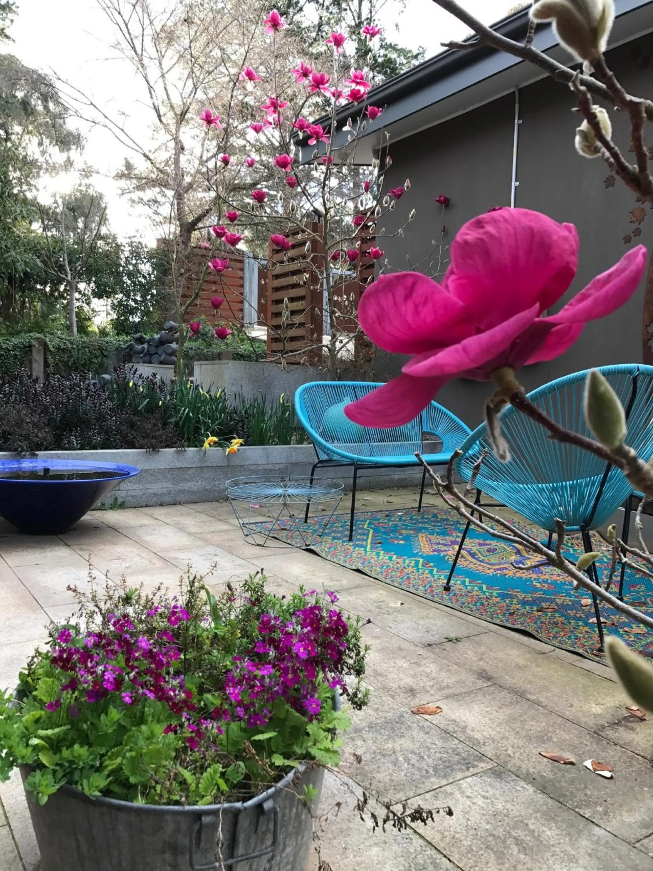 Property building in The Studio - Yarra Valley