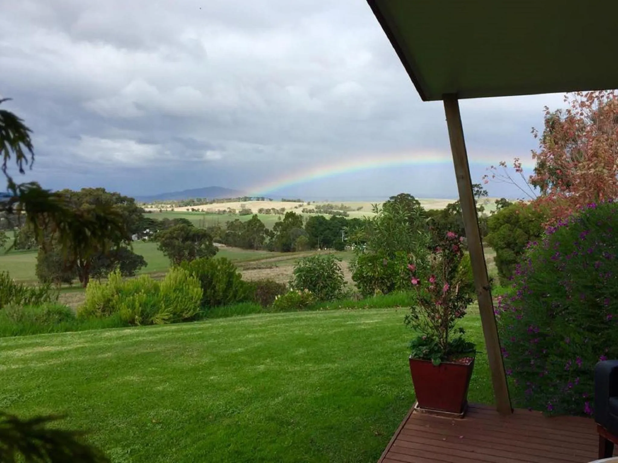 Garden view in The Studio - Yarra Valley