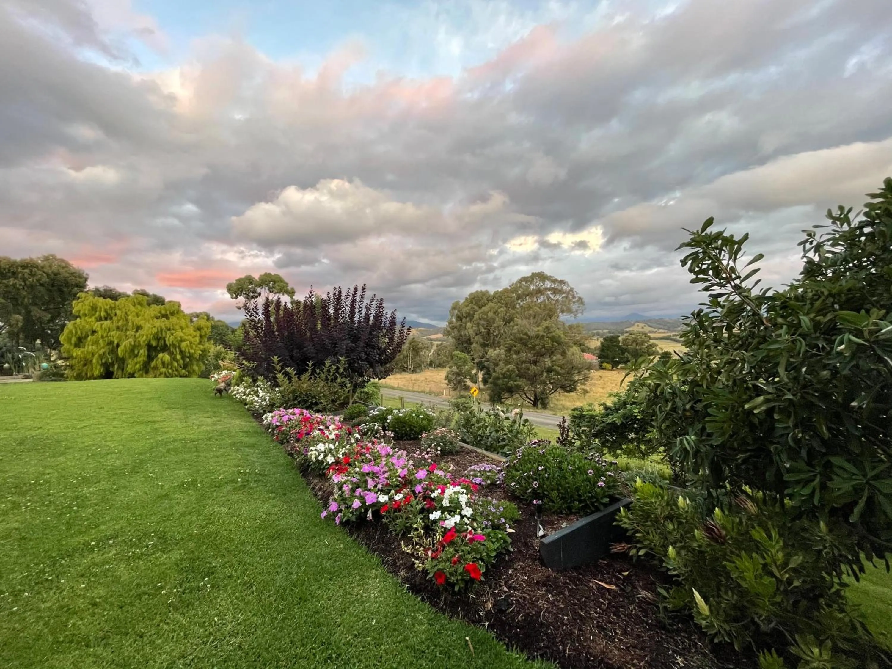 Garden in The Studio - Yarra Valley