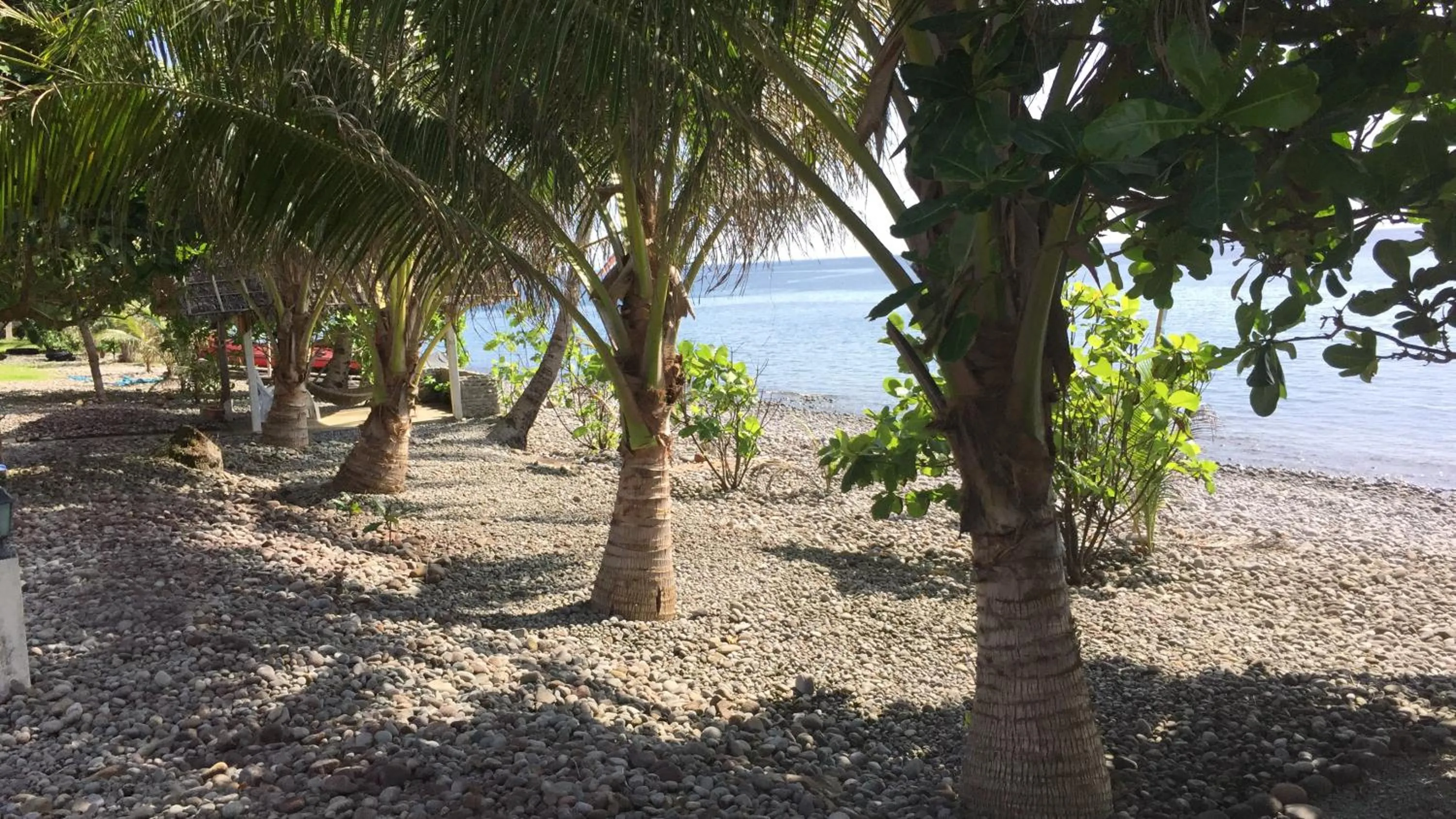 Beach in Pintuyan Dive Resort