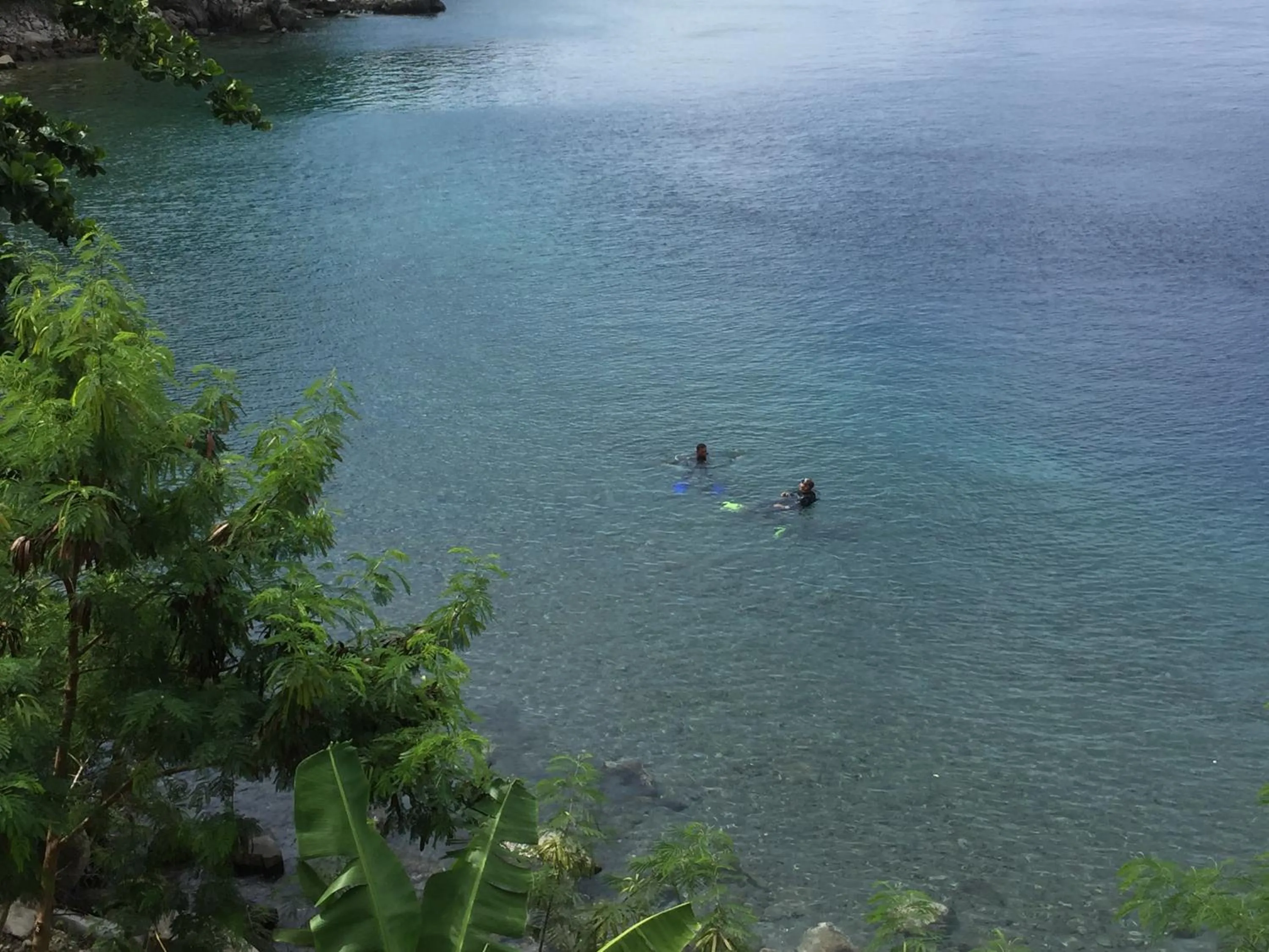 Diving in Pintuyan Dive Resort