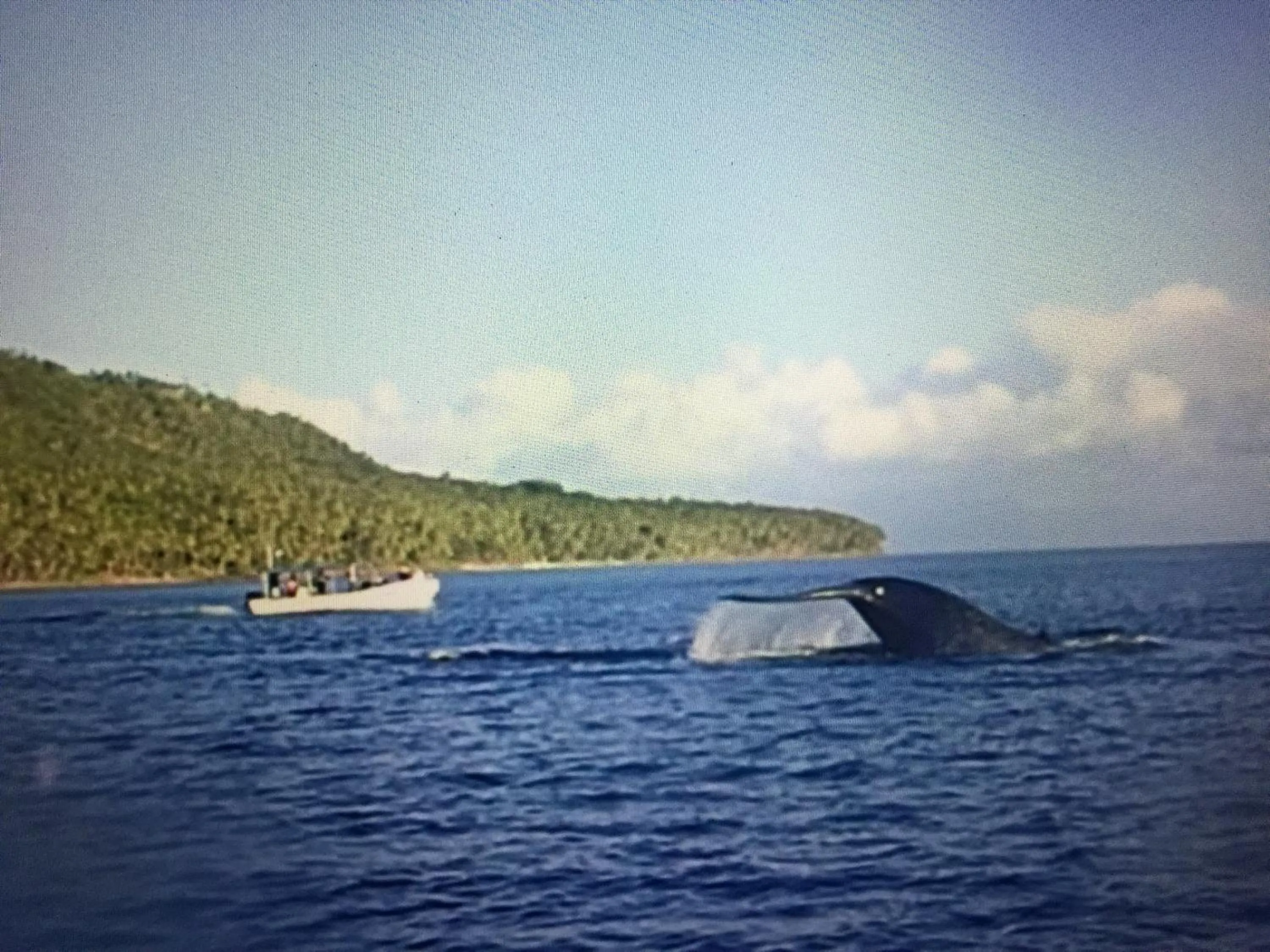 Diving in Pintuyan Dive Resort