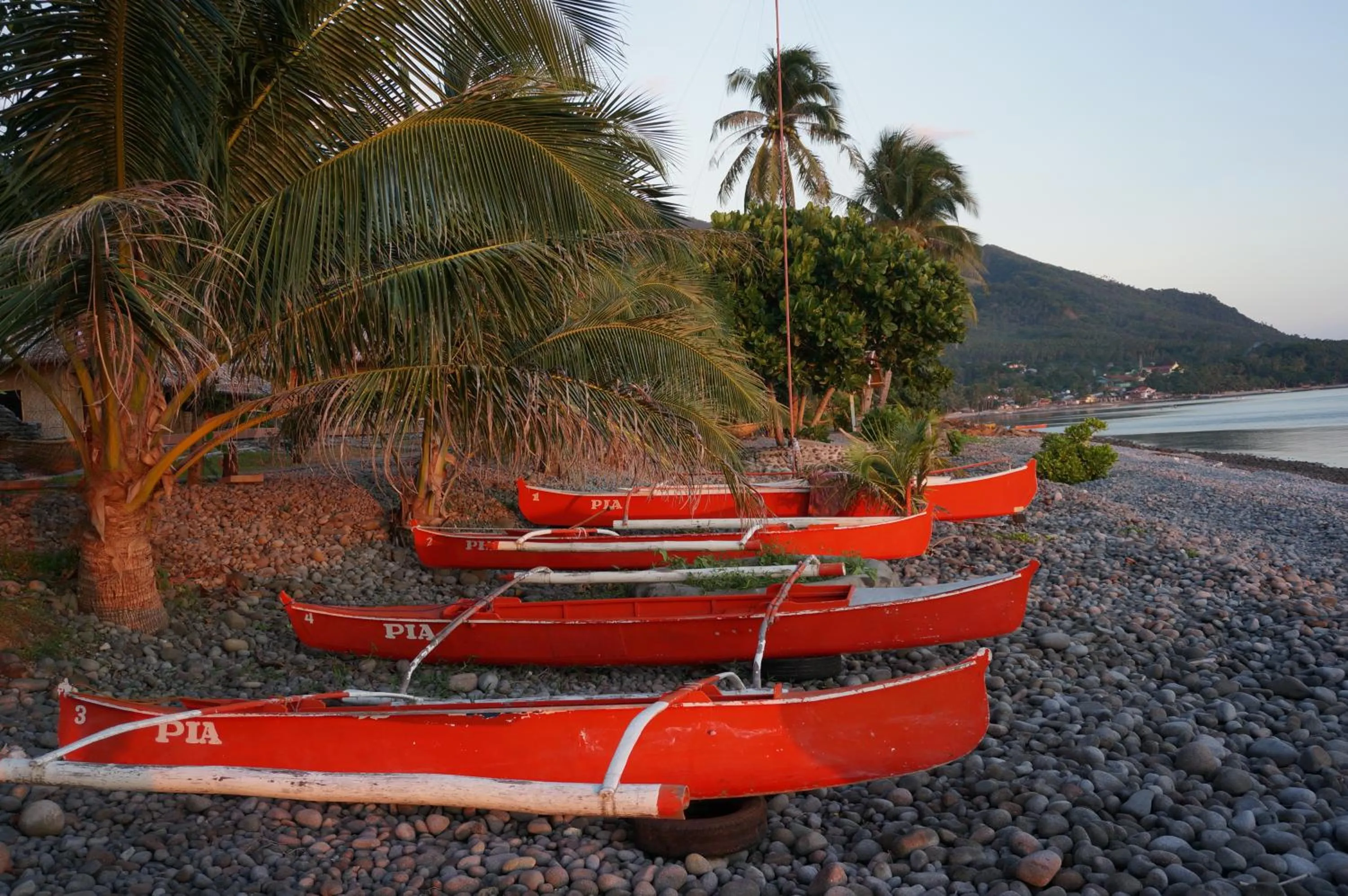 Activities in Pintuyan Dive Resort