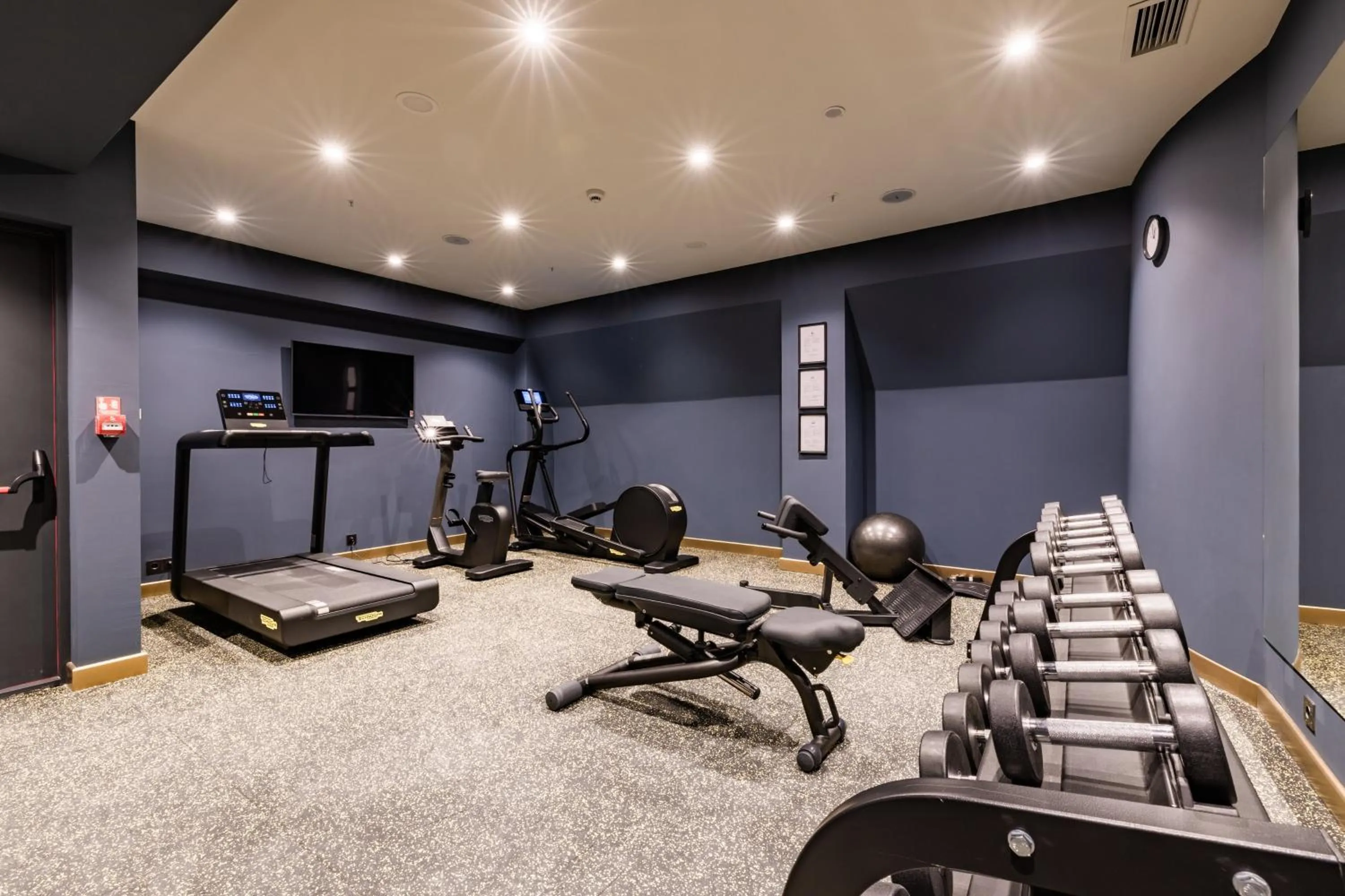 Fitness centre/facilities in Hotel Indigo Batumi - Old Town by IHG