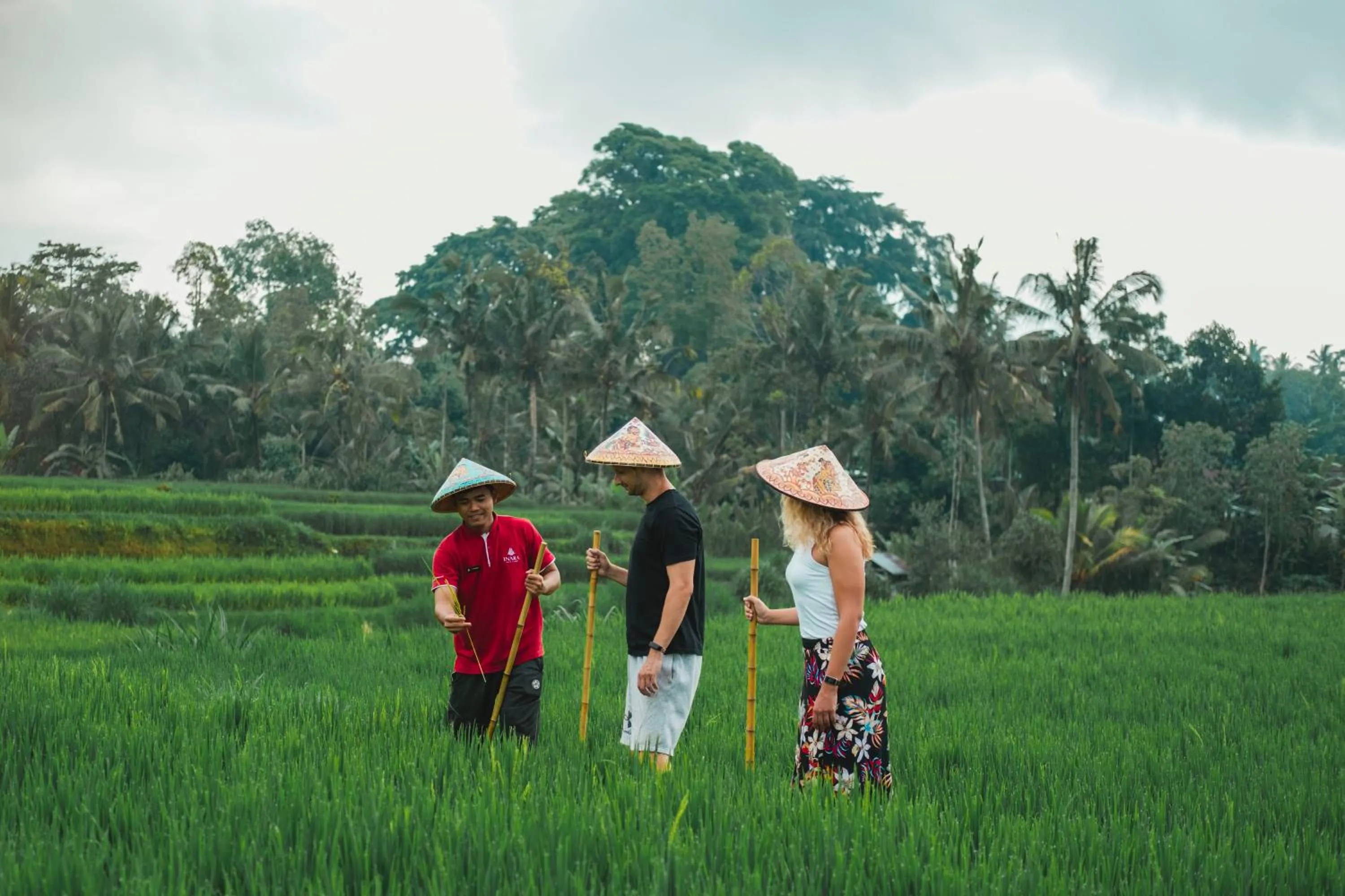 Activities in Emana Abian Taksu