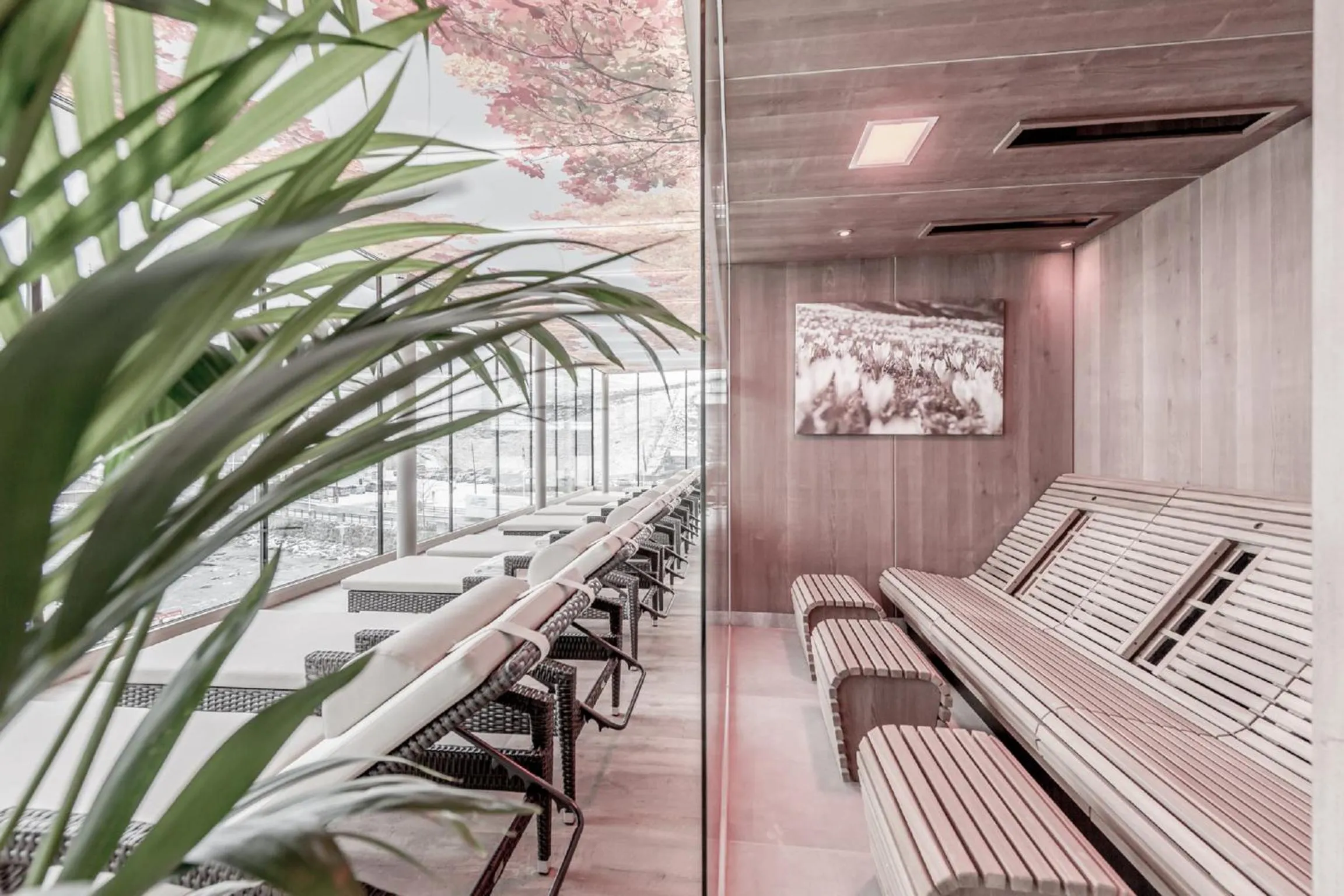 Sauna in The Deluxe by Regina