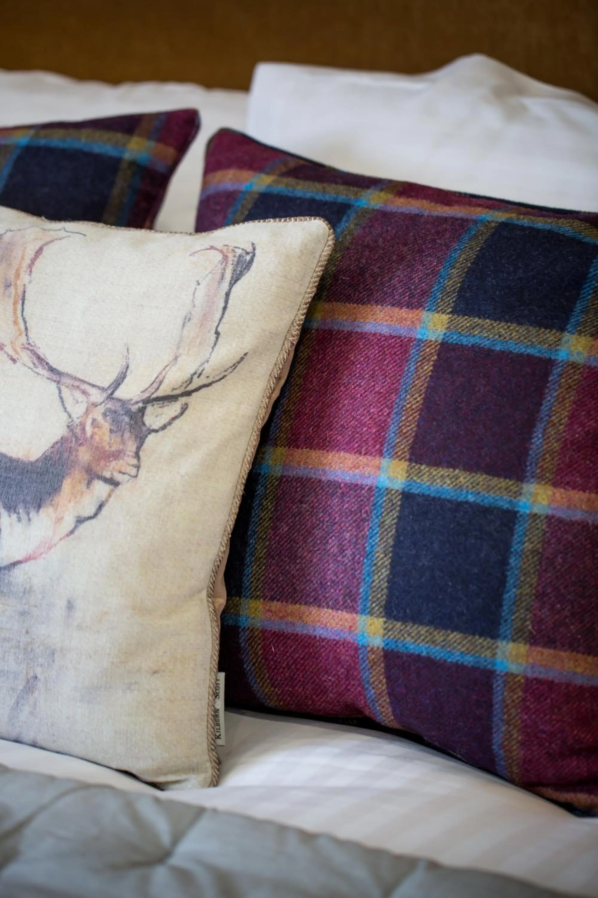 Bed in Darlington Arms