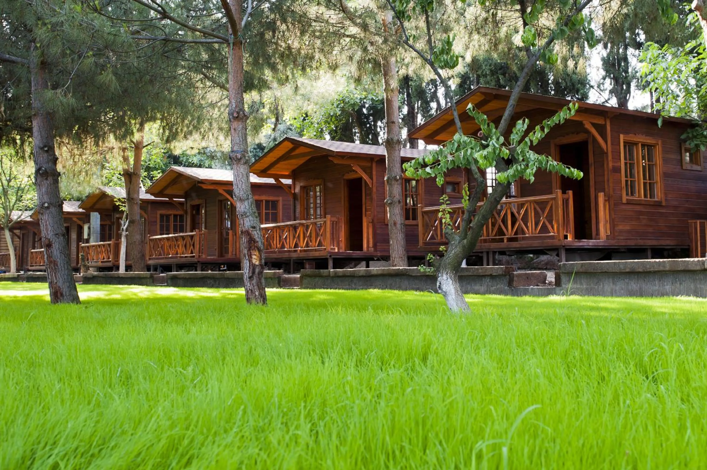 Property building in Iznik Askania