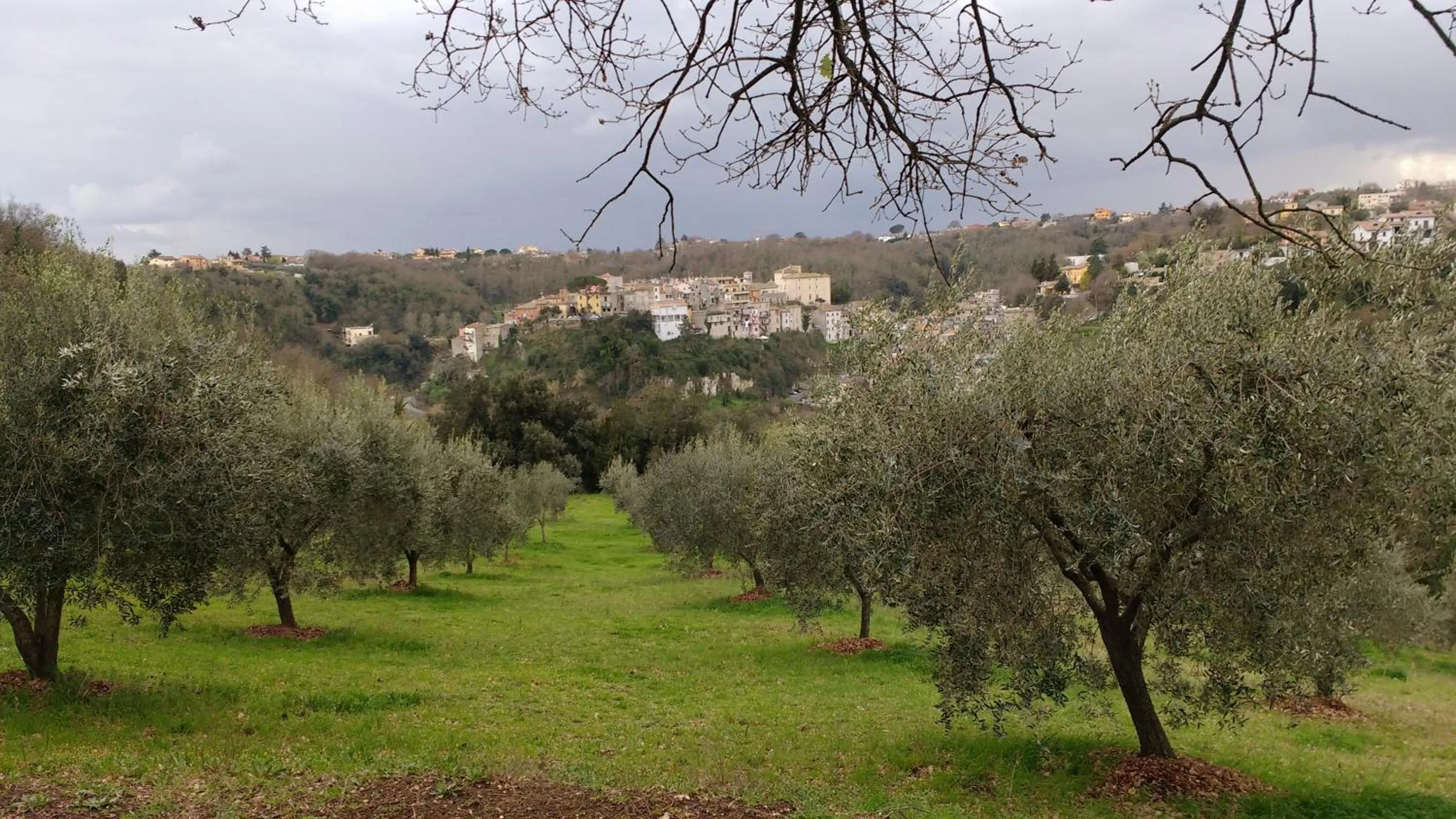 Property building in Bed And Bikers