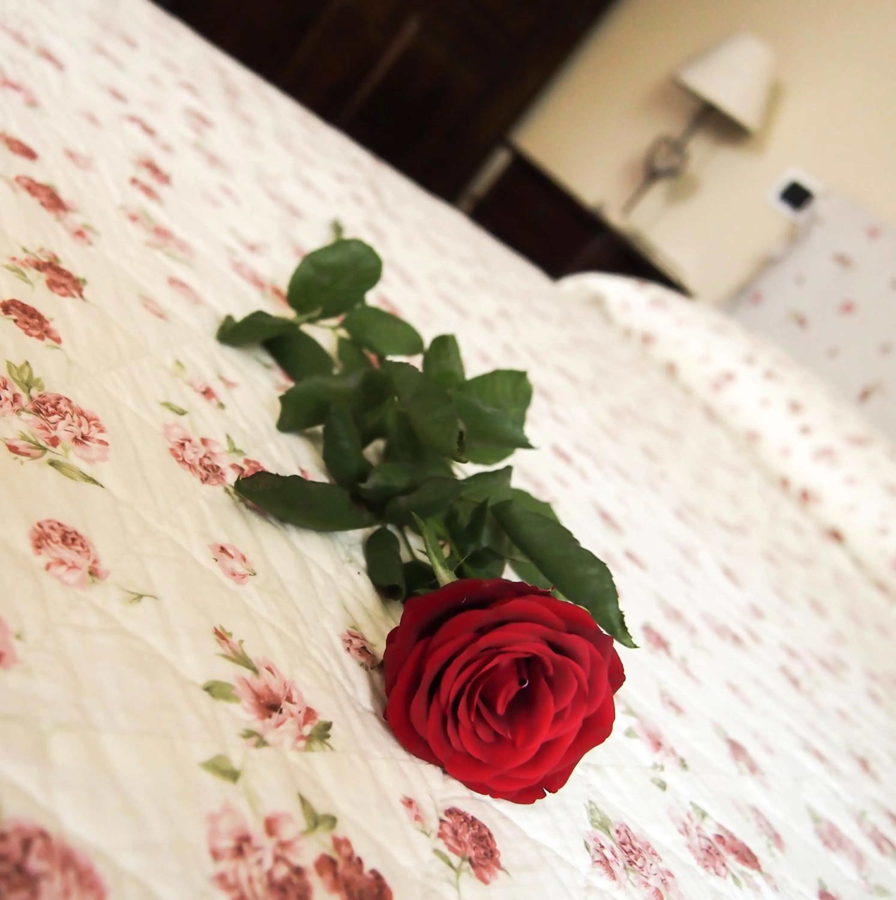 Decorative detail in Bed And Bikers