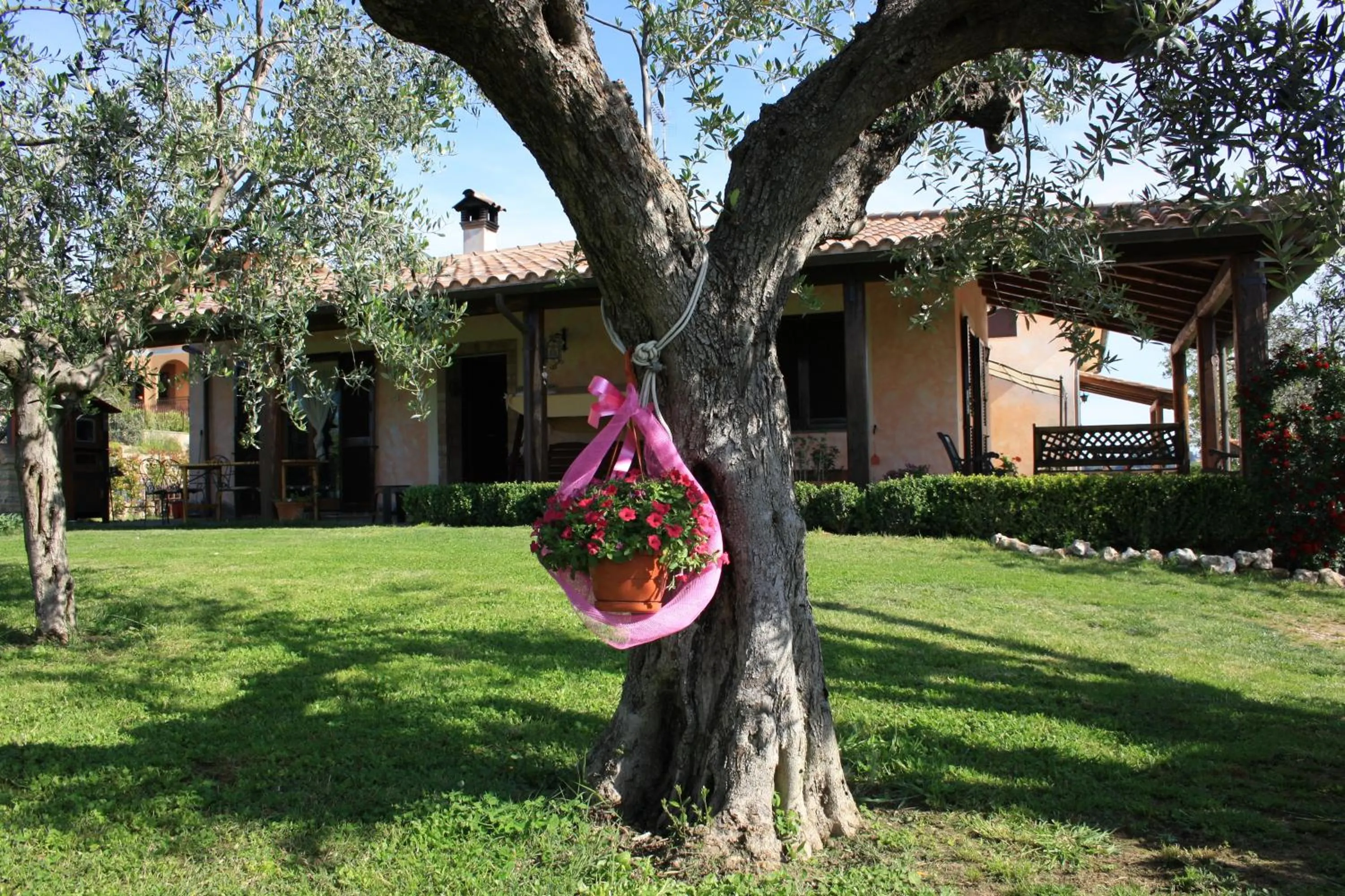Garden in Bed And Bikers