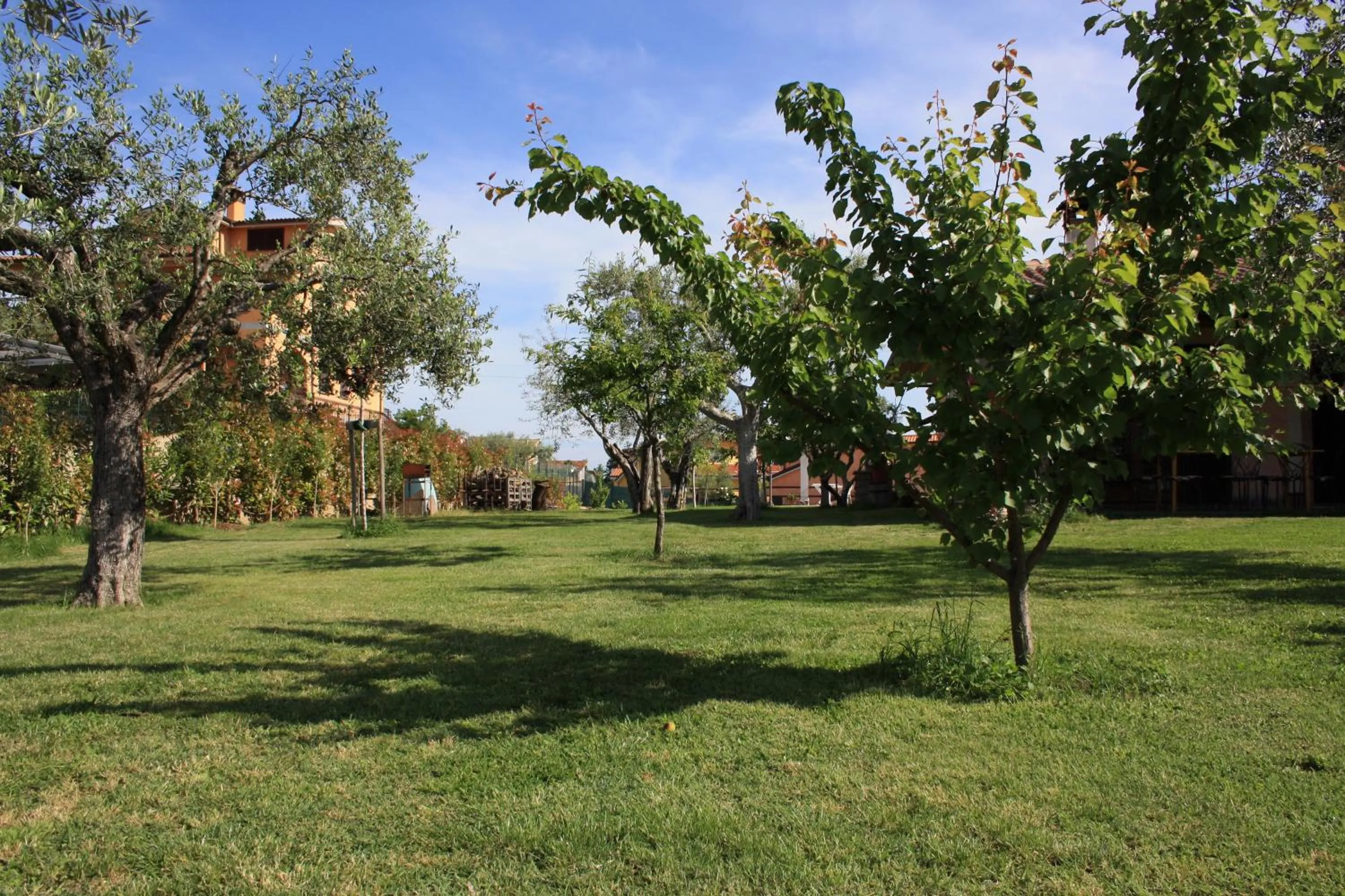 Garden in Bed And Bikers
