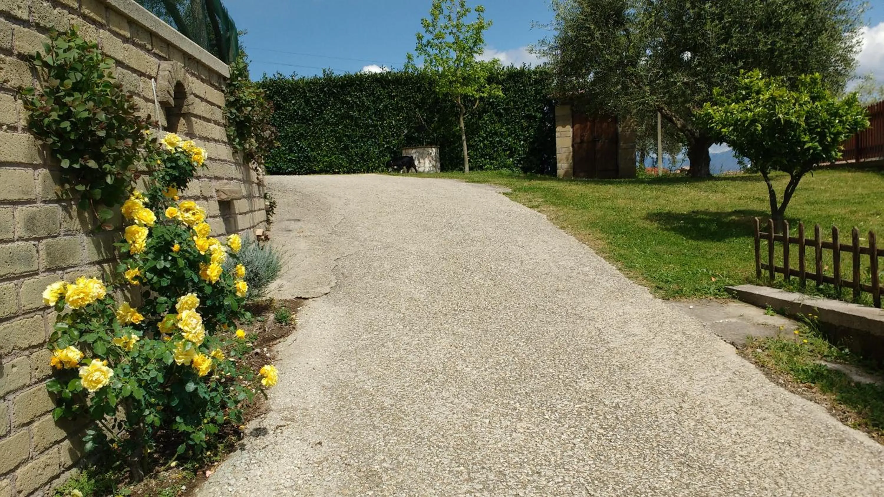 Spring in Bed And Bikers