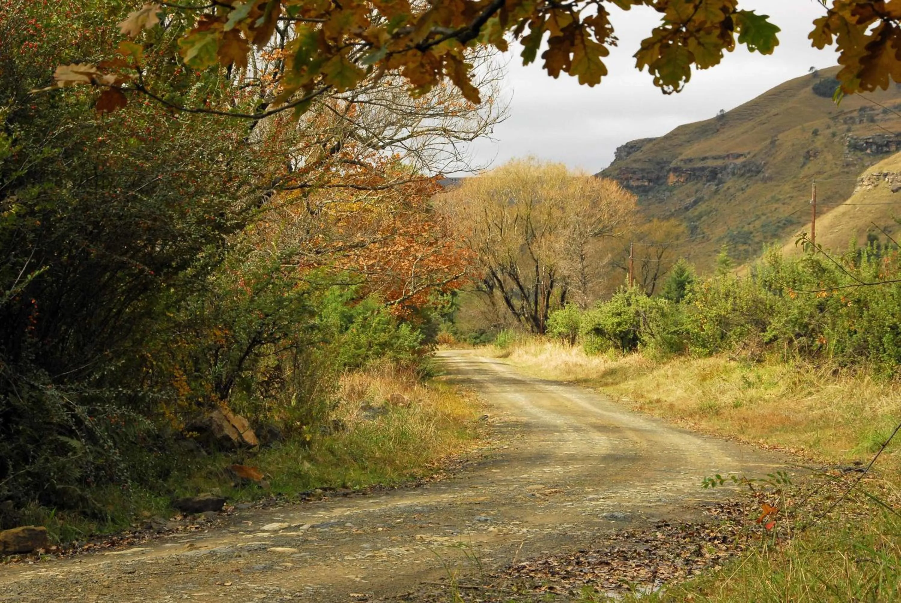 Street view in Mkomazana Mountain Cottages