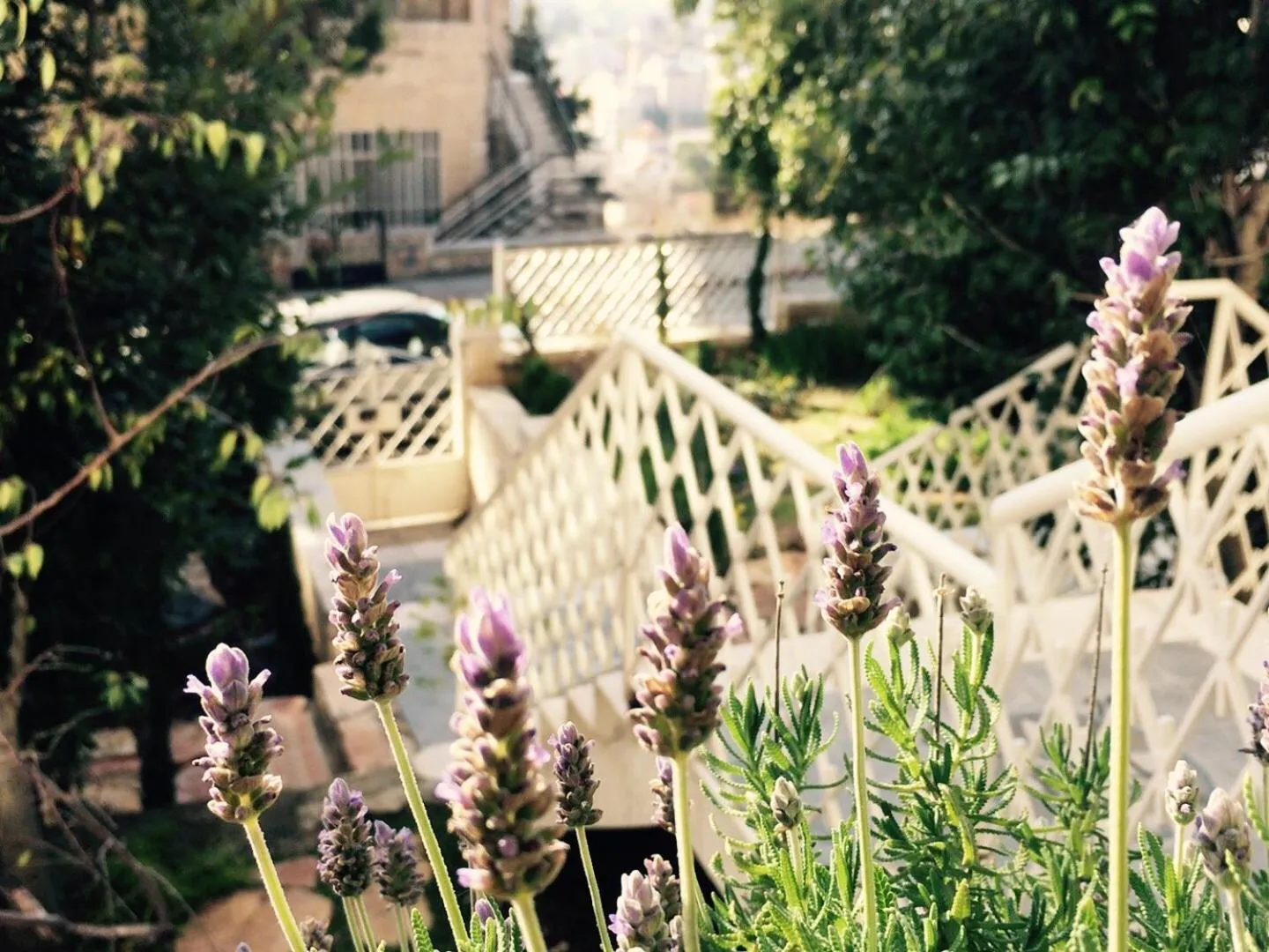 Facade/entrance in Lavender Boutique Hotel