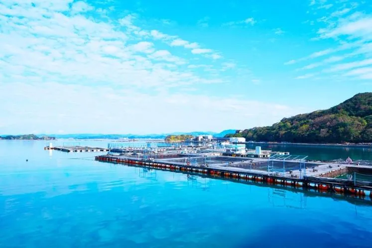 Toretore Village Nanki Shirahama