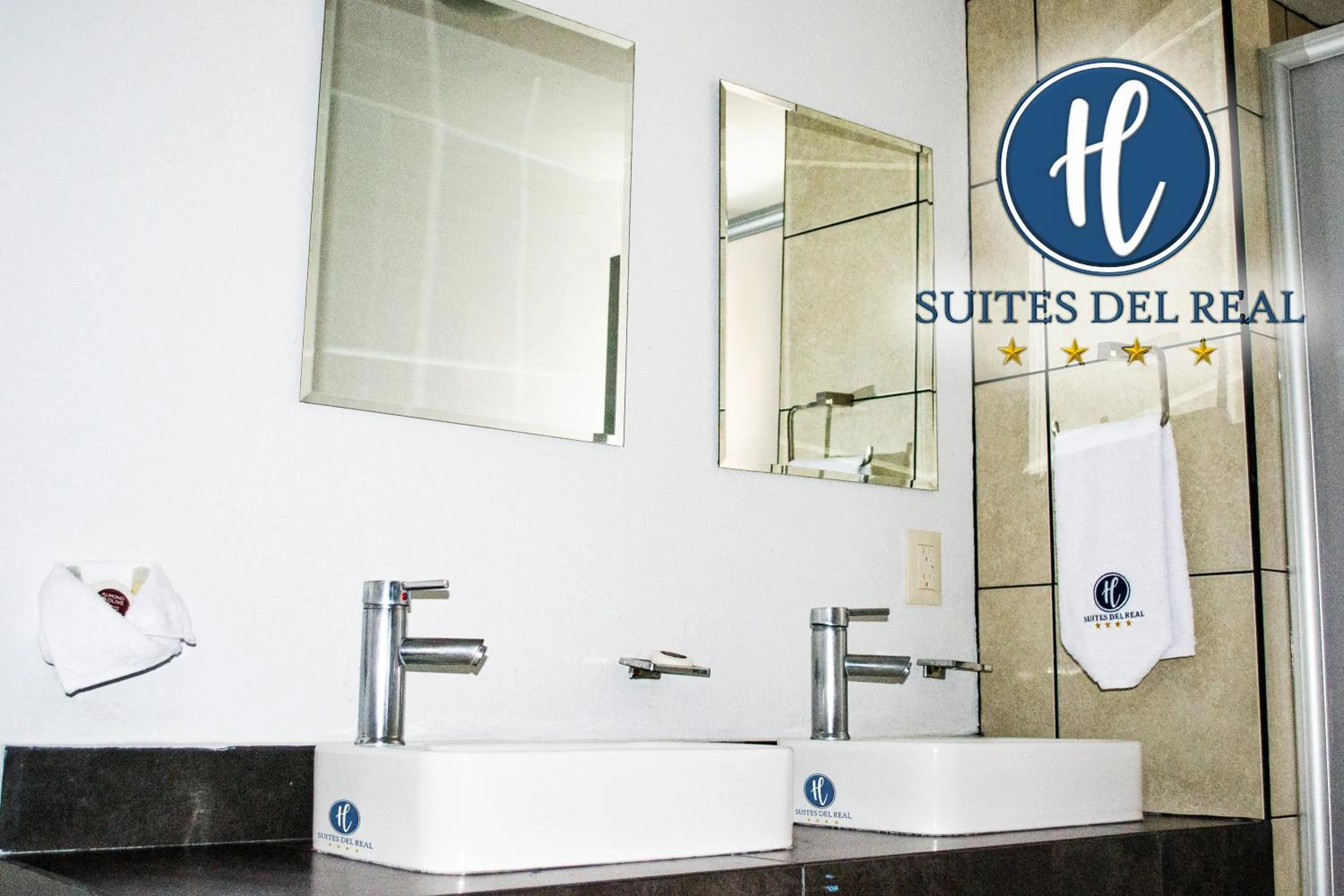 Bathroom in Hotel Suites del Real