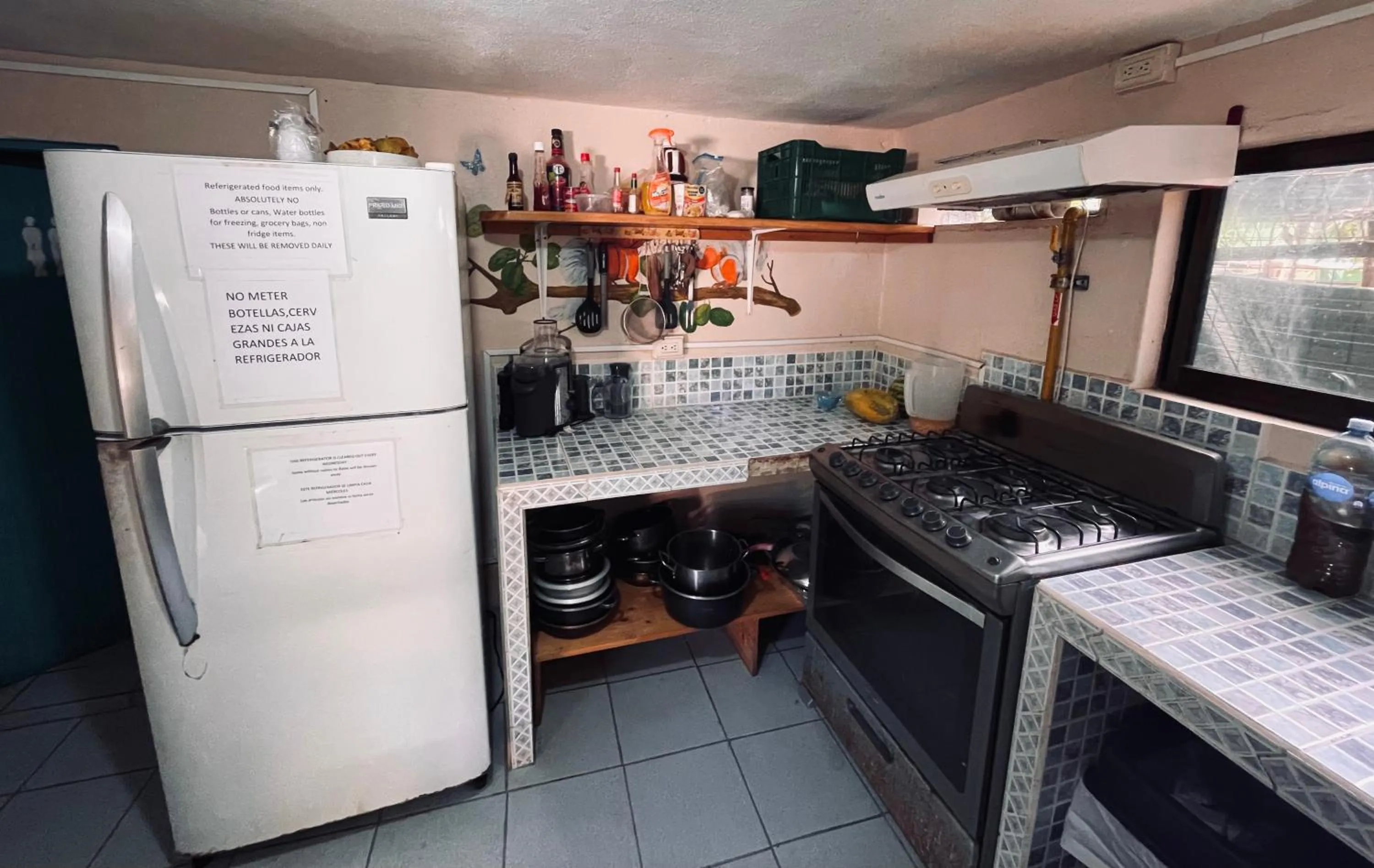 Kitchen or kitchenette in Blue Iguana