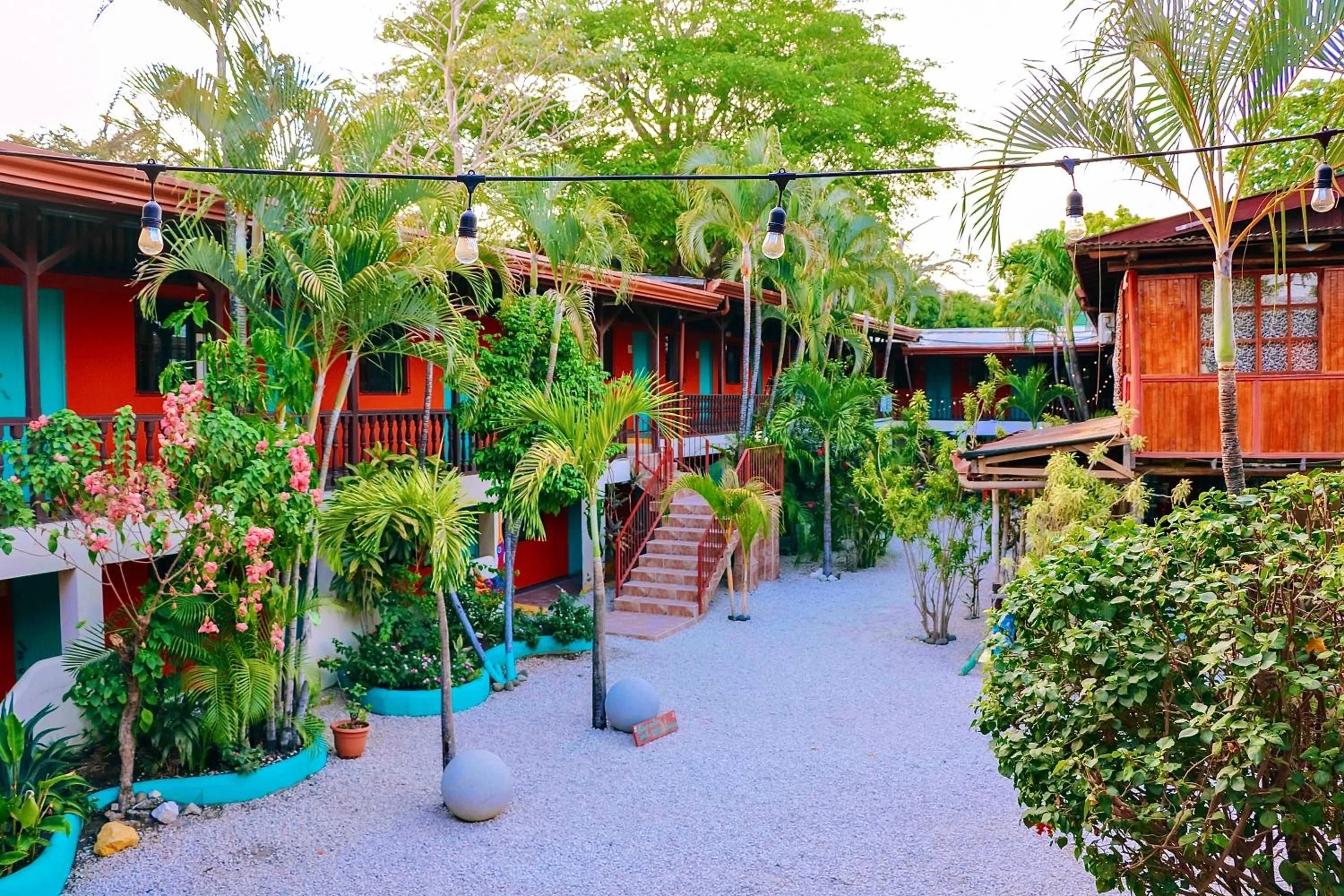 Garden in Blue Iguana