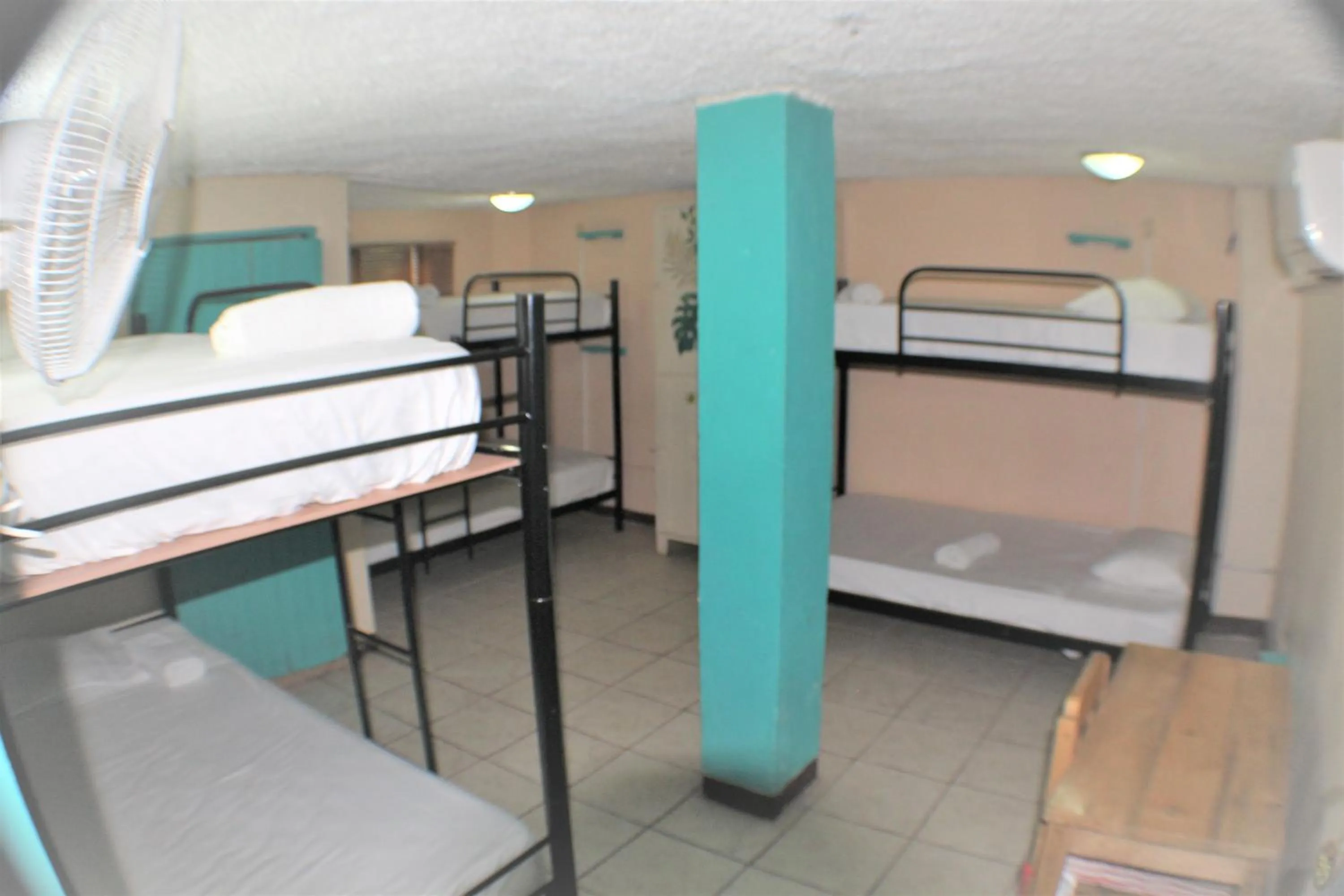 Photo of the whole room, Bed in Blue Iguana