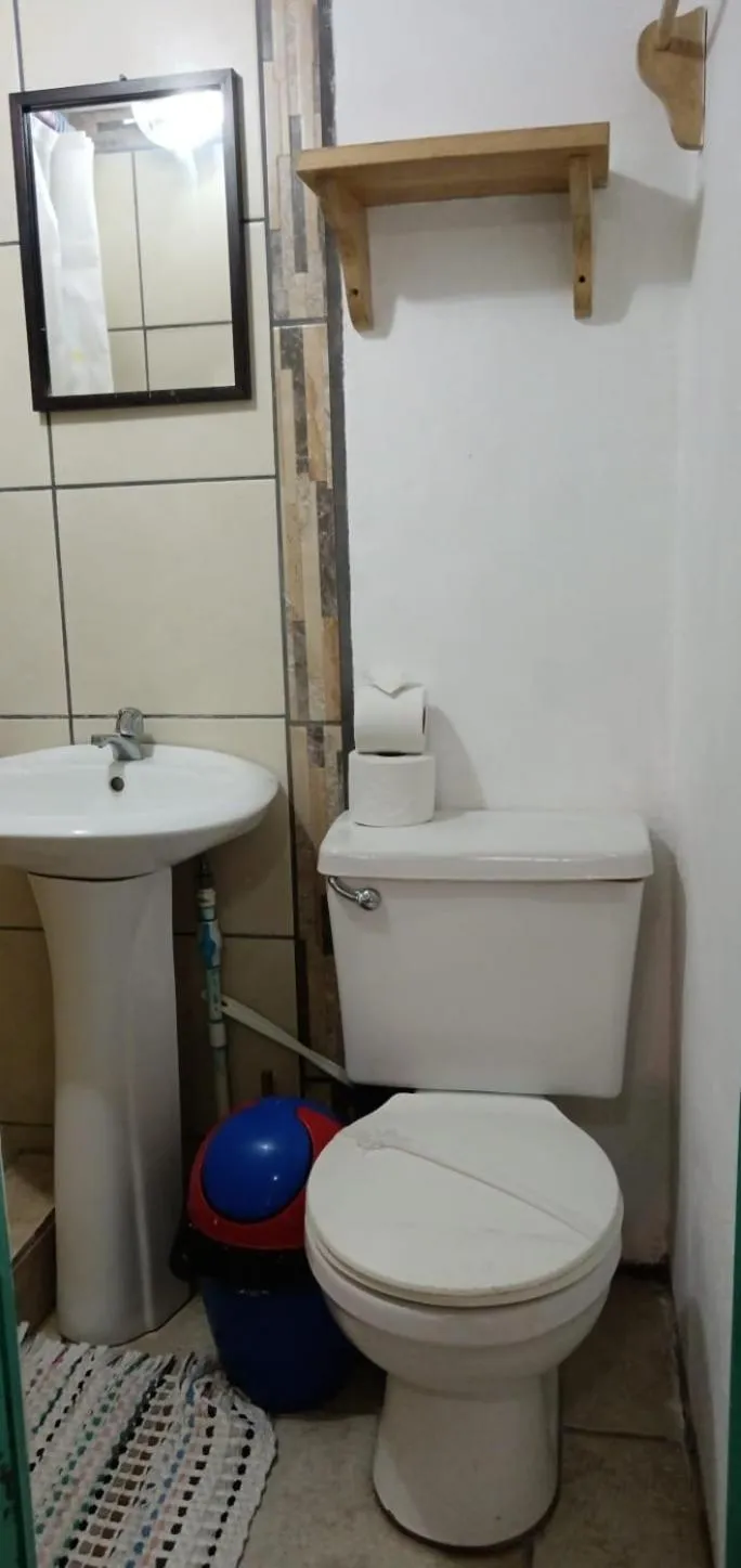 Bathroom in Blue Iguana